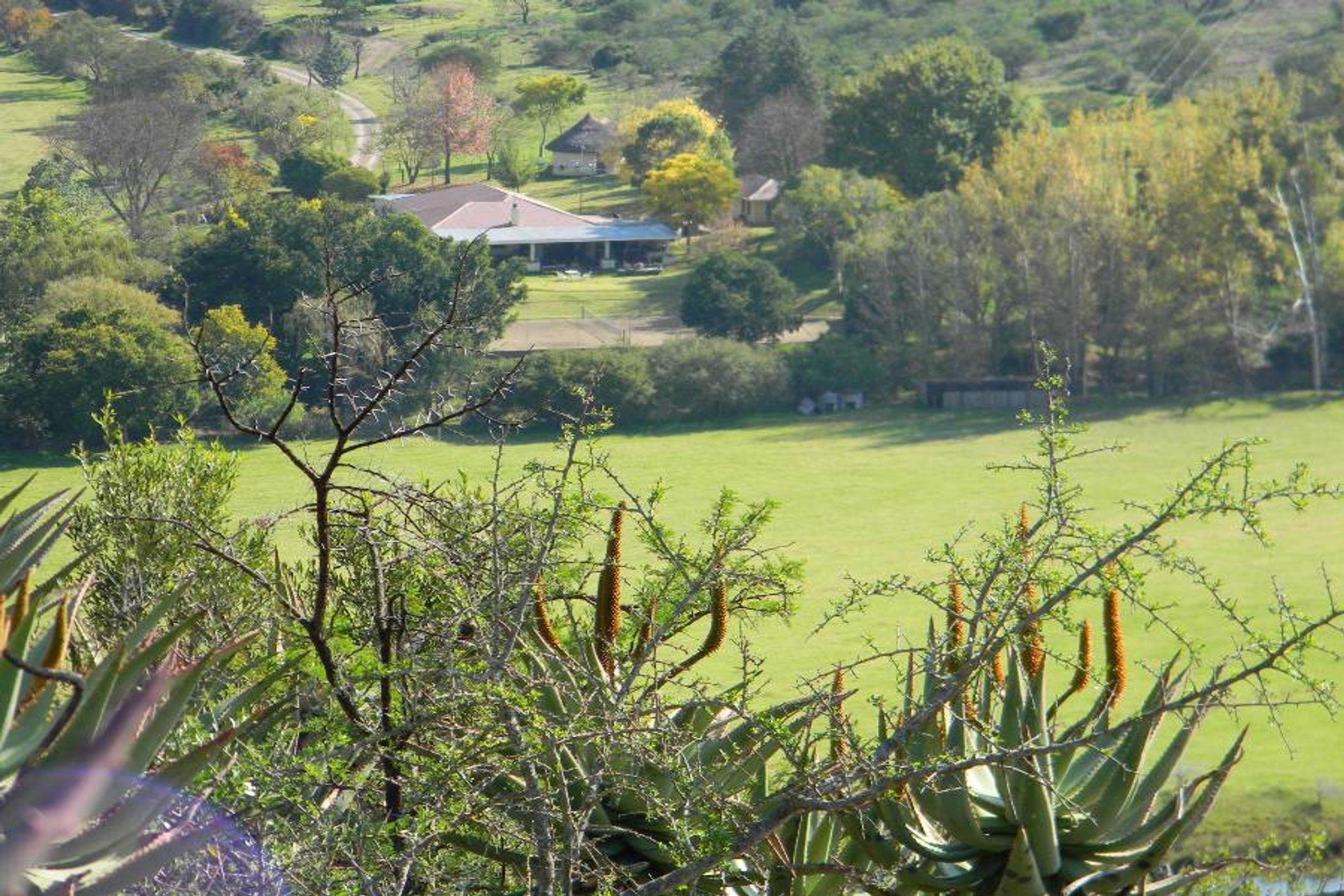 672 hectare Mixed Use Farm For Sale Adelaide 1GC1453833 Pam