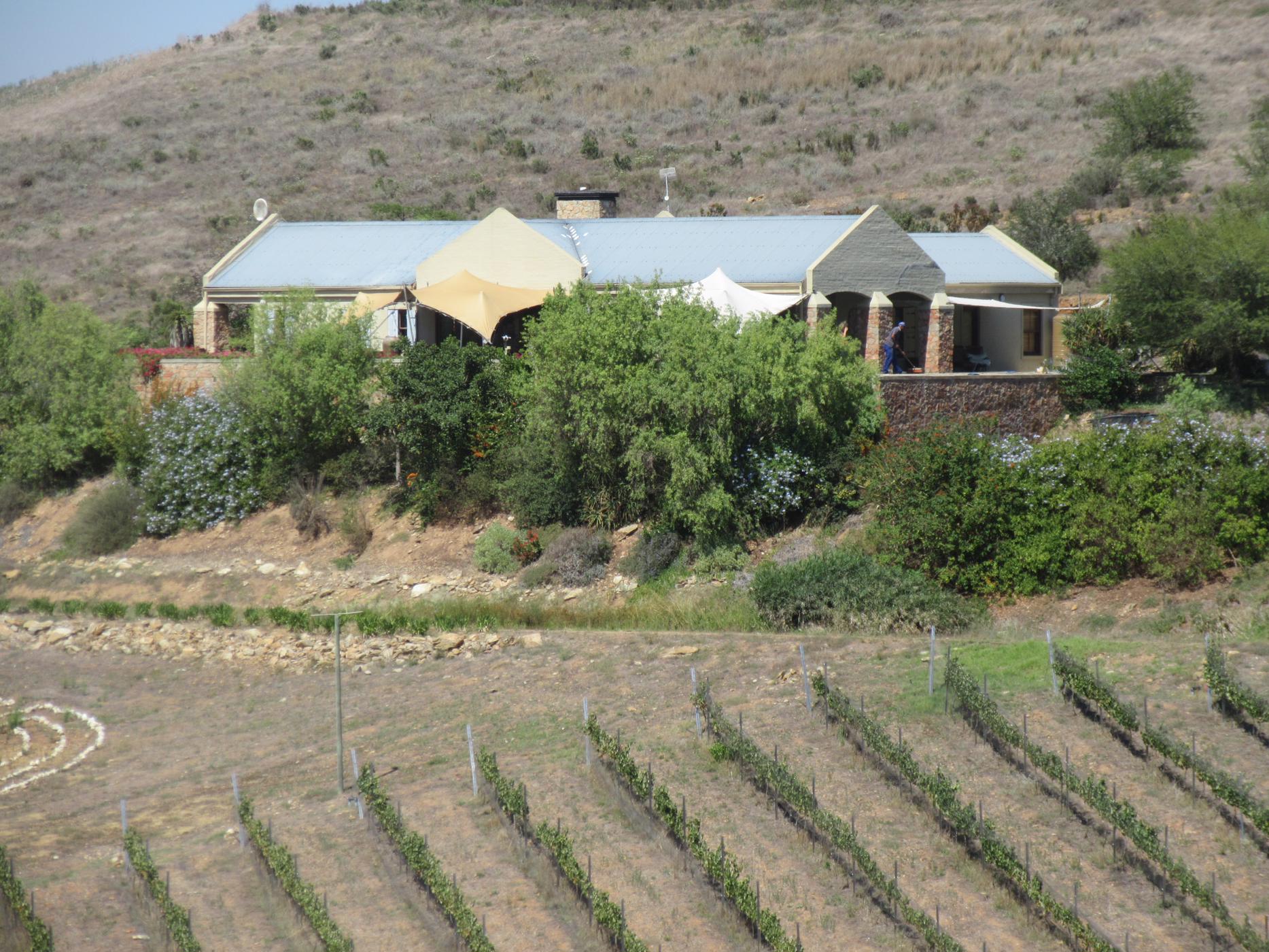 88 hectare Wine Farm For Sale Greyton 1SW1455163 Pam Golding
