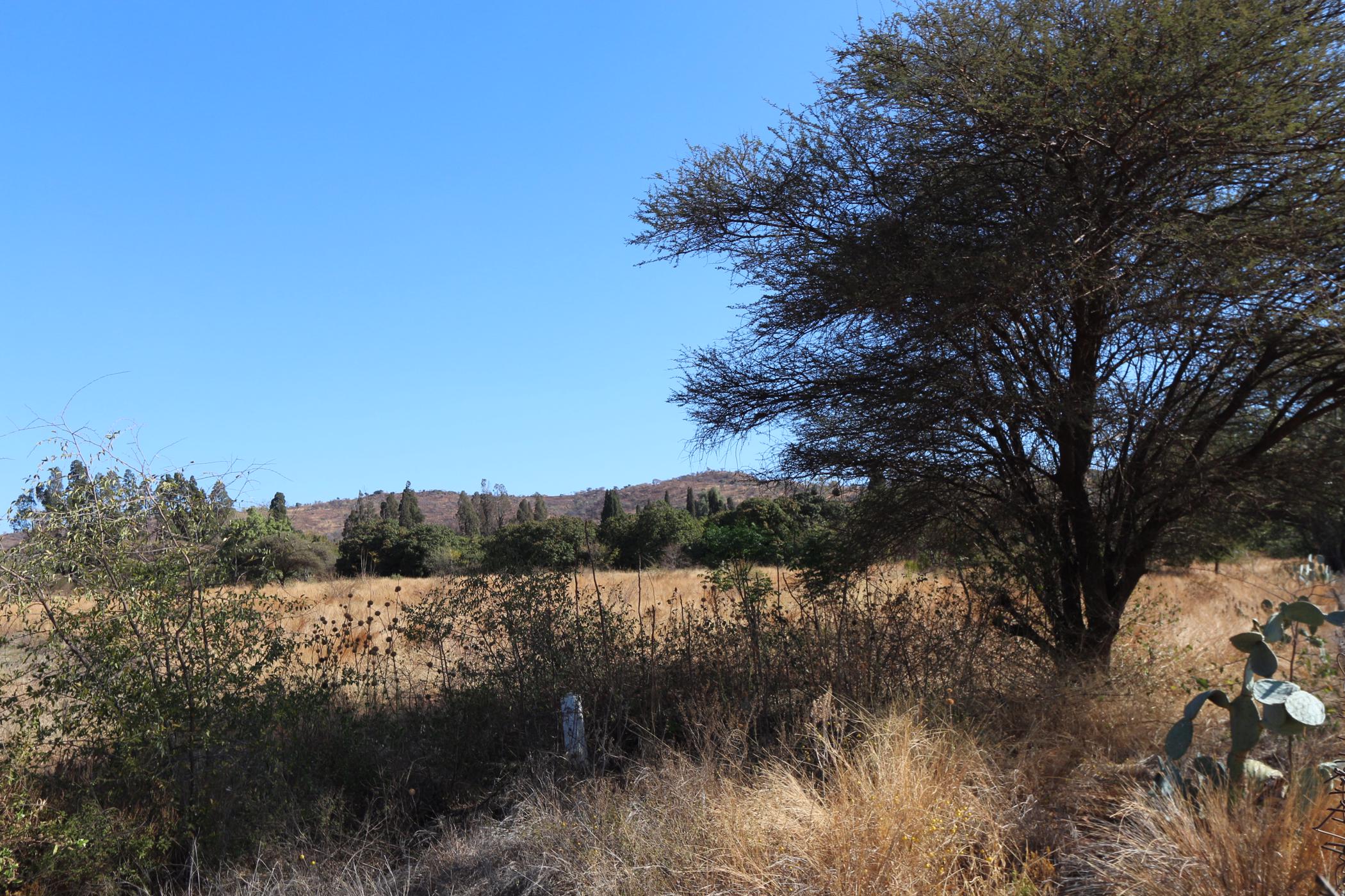 1.25 hectare commercial vacant land for sale in Waterval East