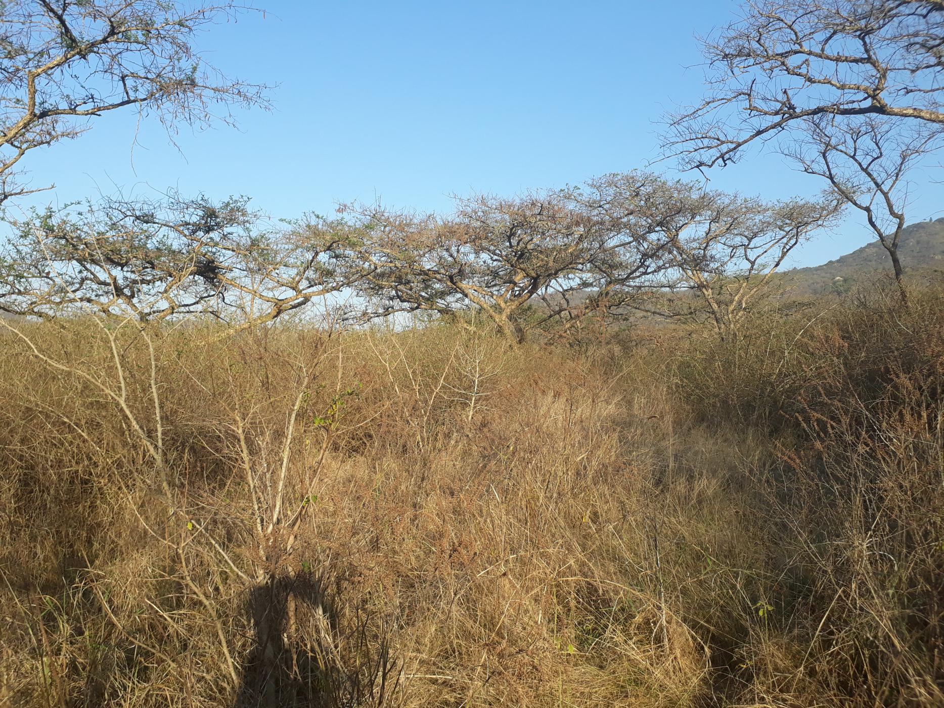 5.31 hectare Vacant Land For Sale Nelspruit (Mbombela) 1NS1456586