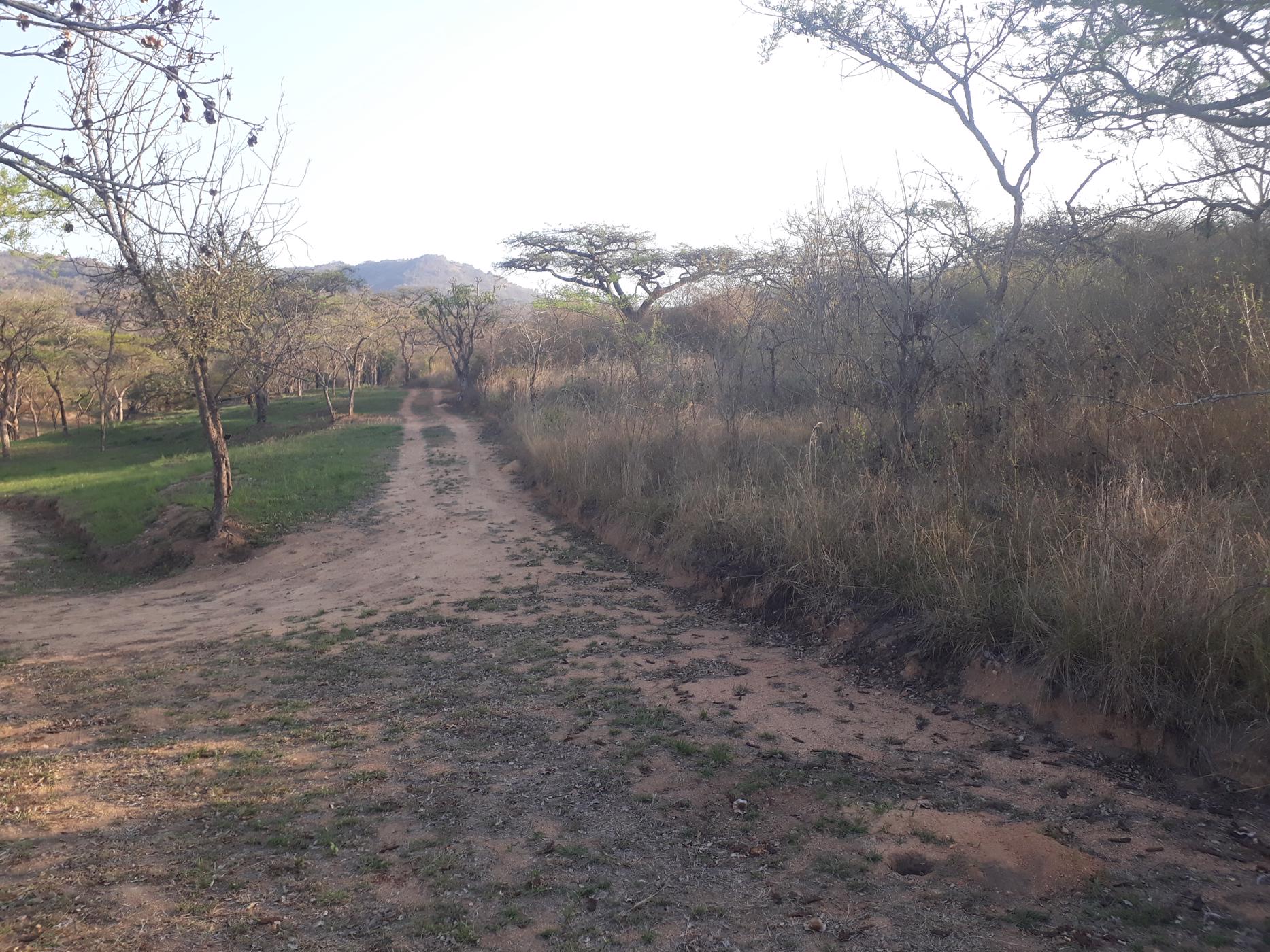 5.31 hectare Vacant Land For Sale Nelspruit (Mbombela) 1NS1456586