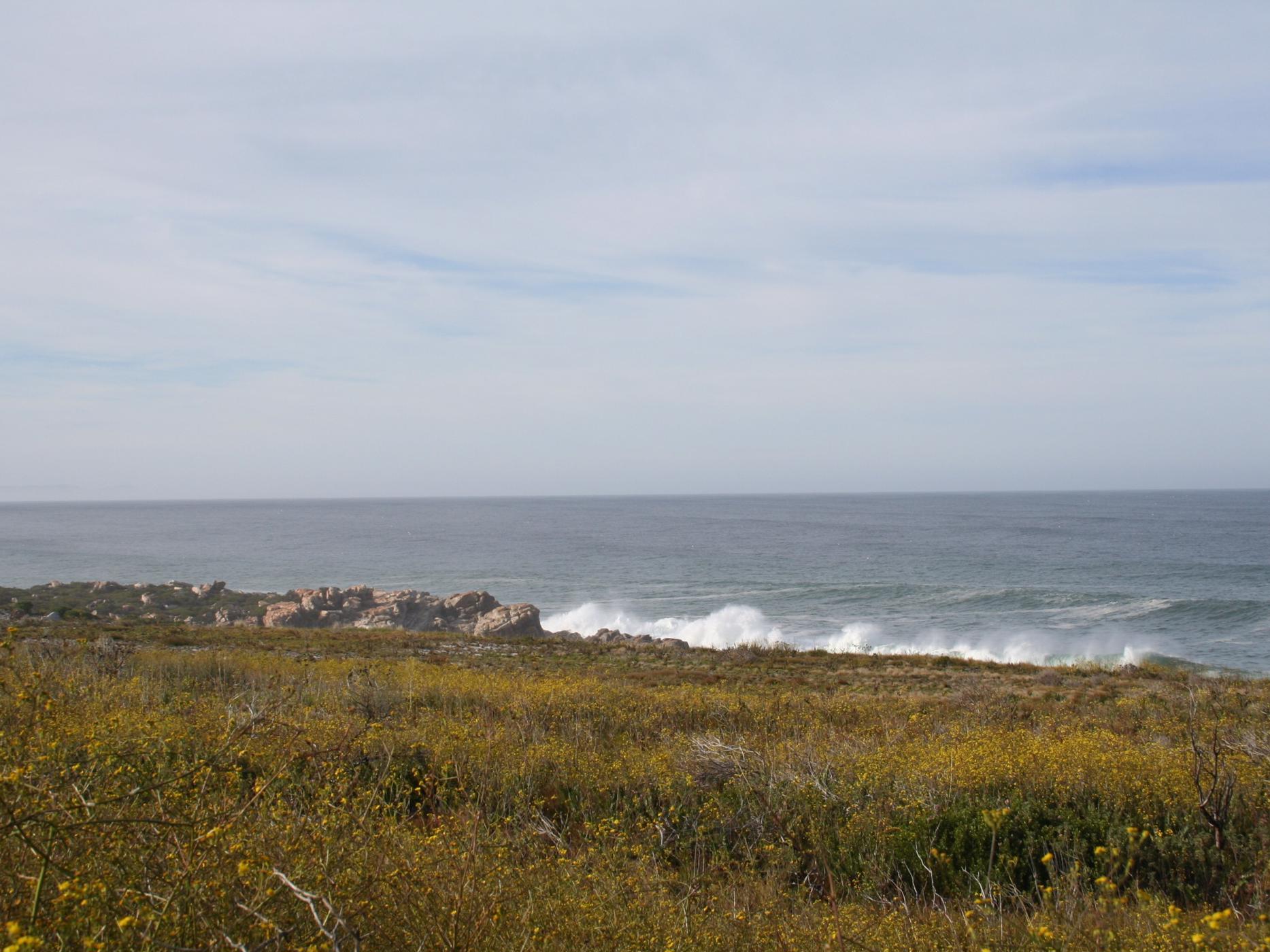 5.5 hectare smallholding for sale in Bettys Bay