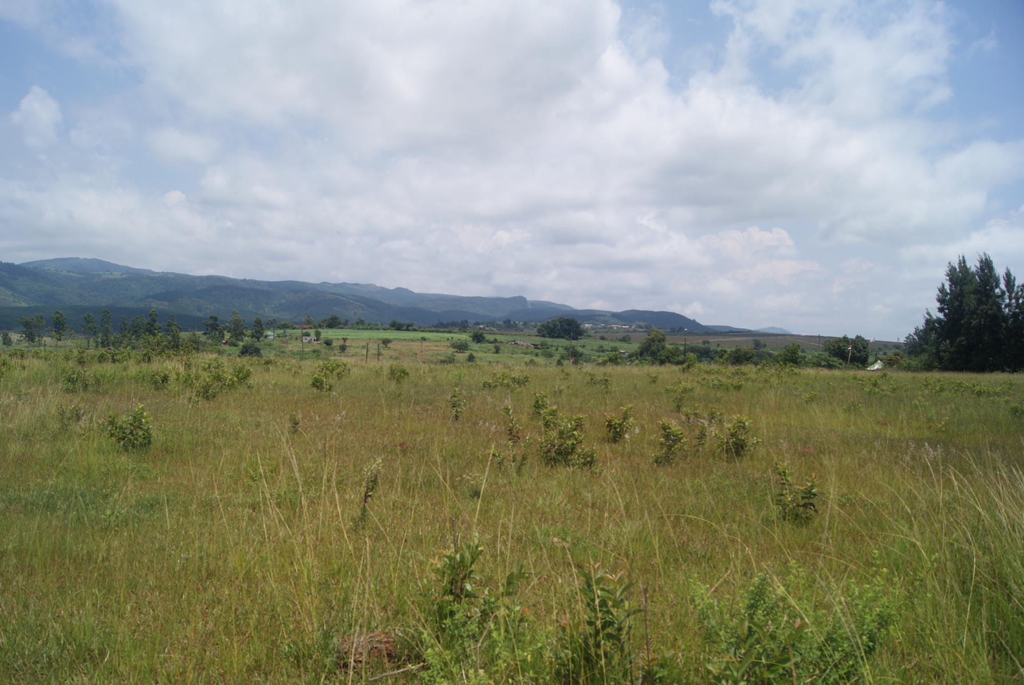 6 hectare vacant land for sale in Malkerns (Swaziland)