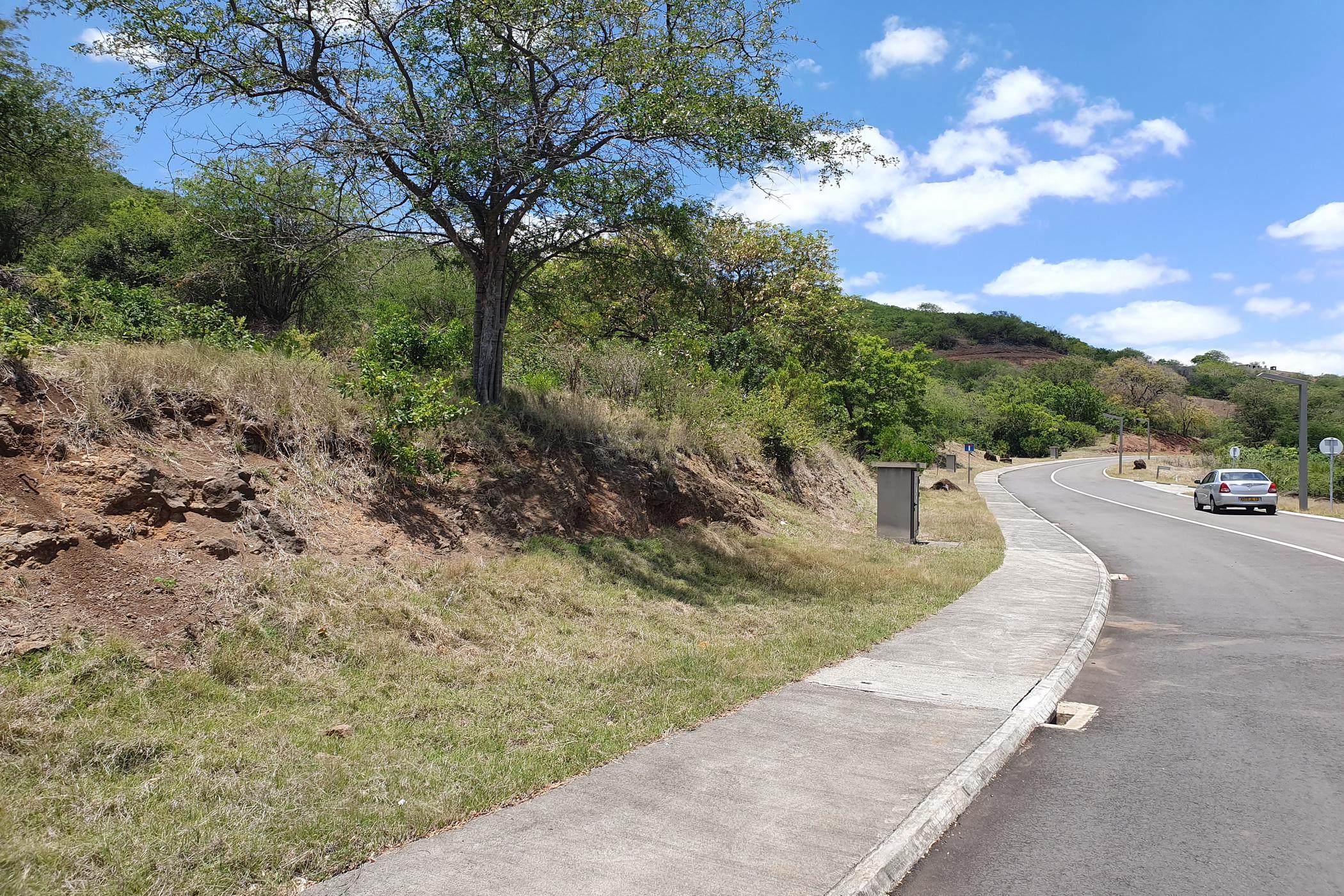 4220 m2 Vacant Land For Sale Petite Riviere Noire (Mauritius
