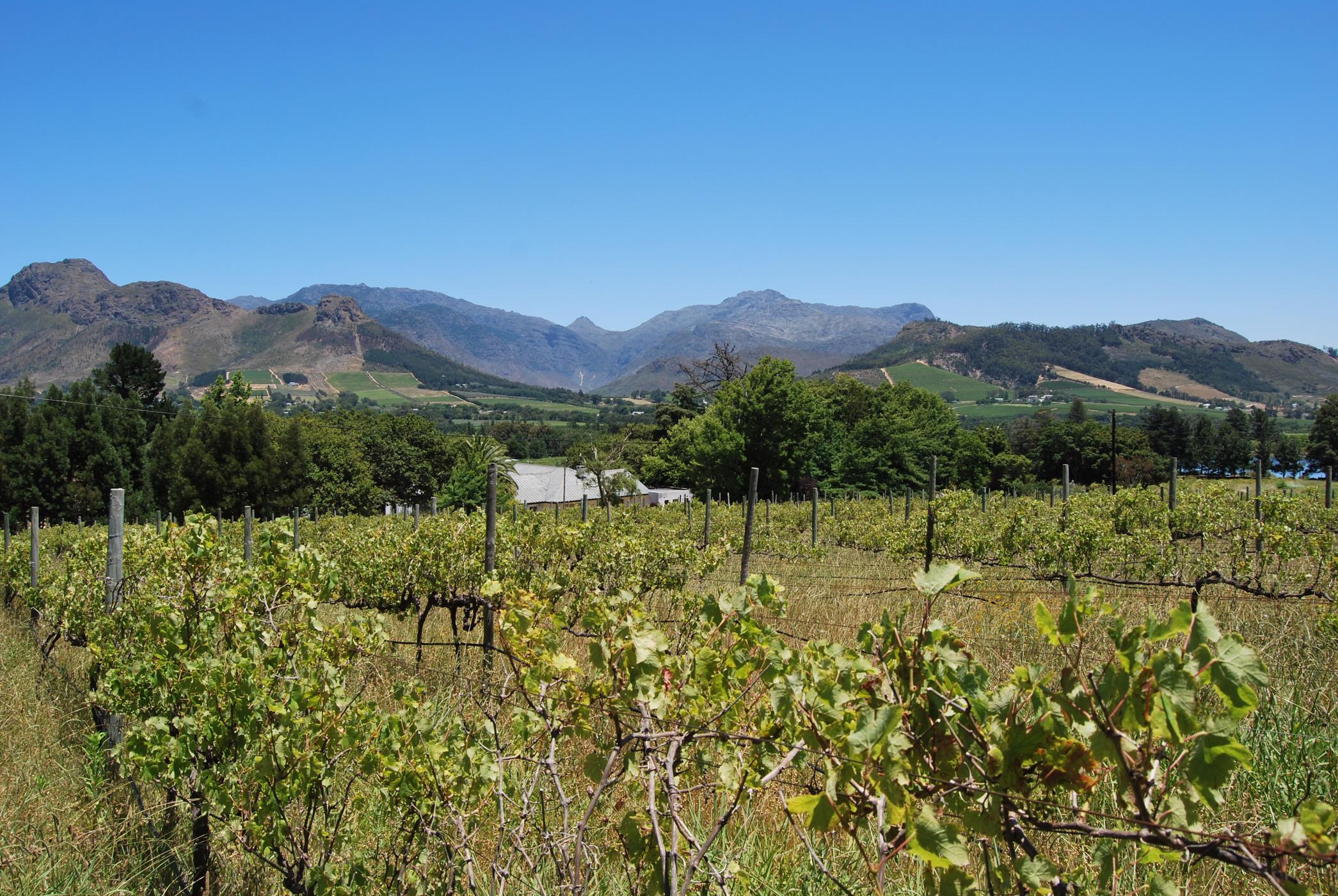 2.04 hectare lifestyle property for sale in Franschhoek