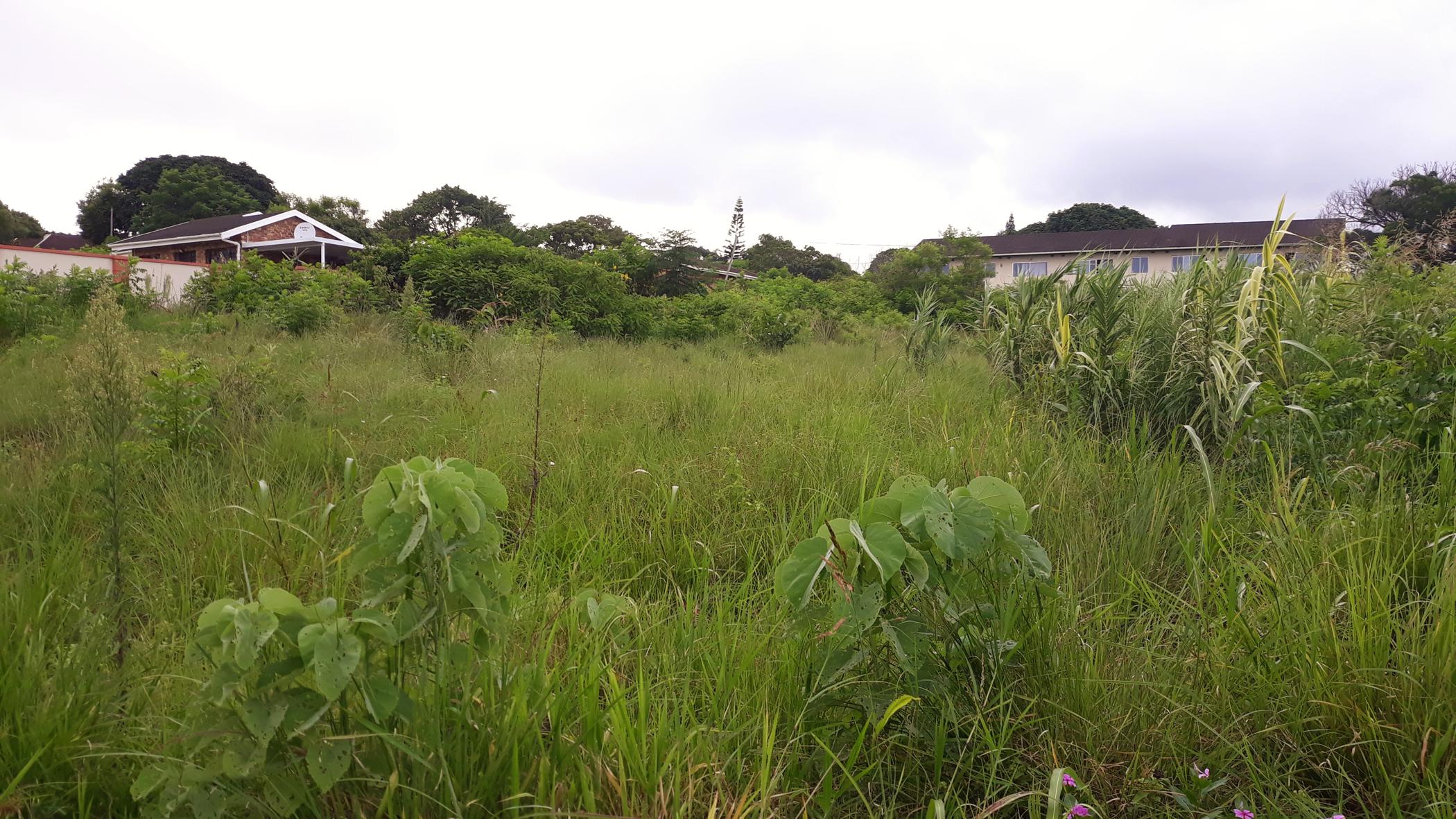 465 m2 Vacant Land For Sale Margate 1PX1470582 Pam Golding Properties