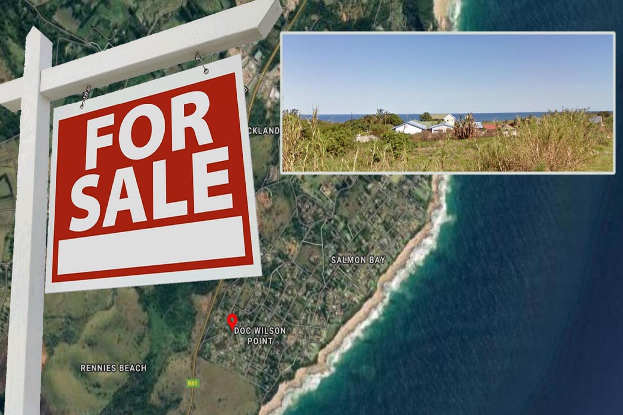1335 m2 Residential Vacant Land For Sale Port Edward 1PD1467109