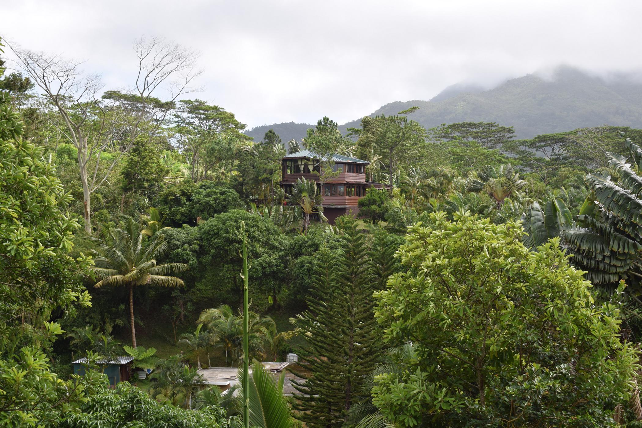 15110 m2 Vacant Land For Sale Chamarel (Mauritius) MUR1474564 Pam