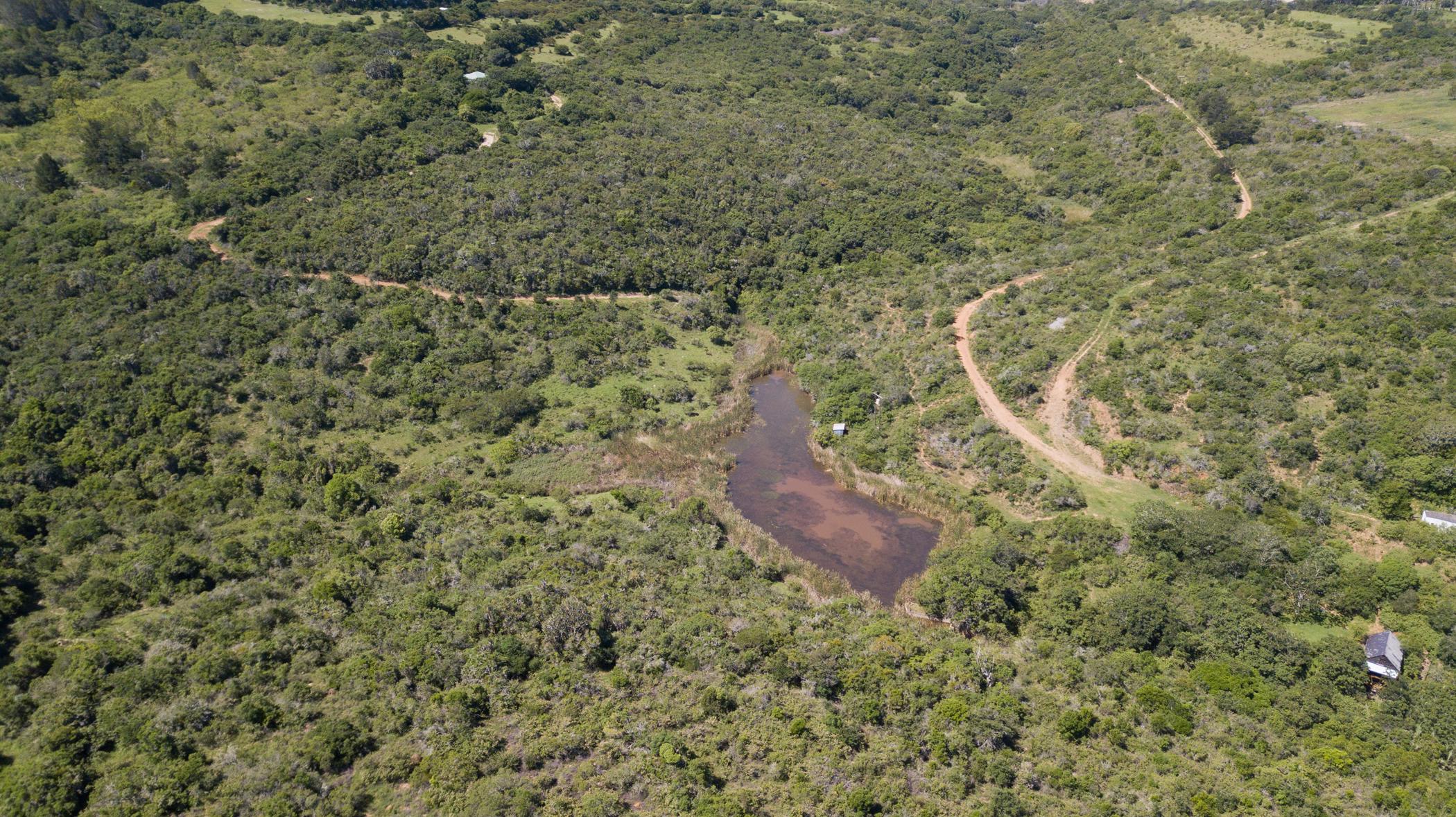 104746 m2 Vacant Land For Sale Bathurst 1PF1476753 Pam Golding