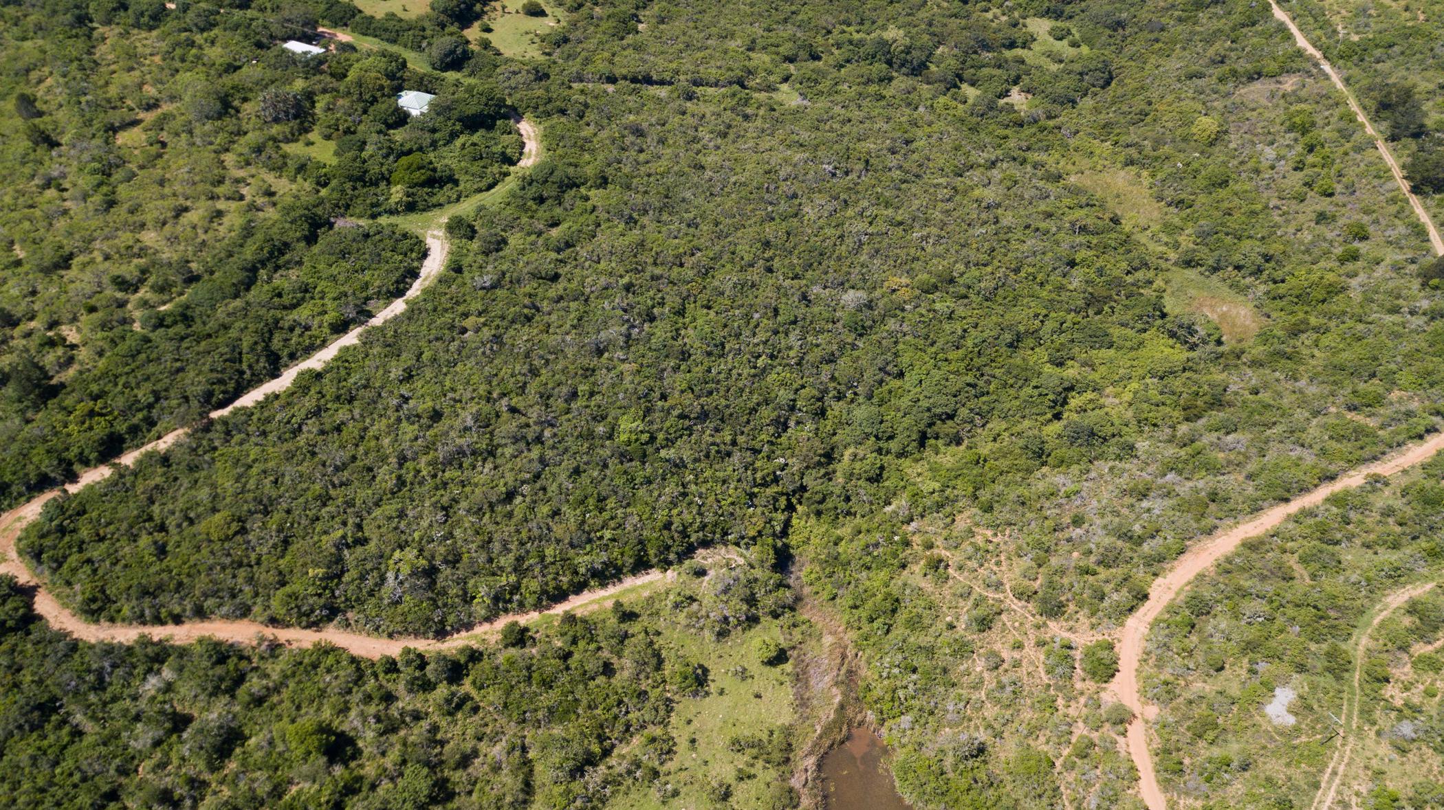 104746 m2 Vacant Land For Sale Bathurst 1PF1476753 Pam Golding