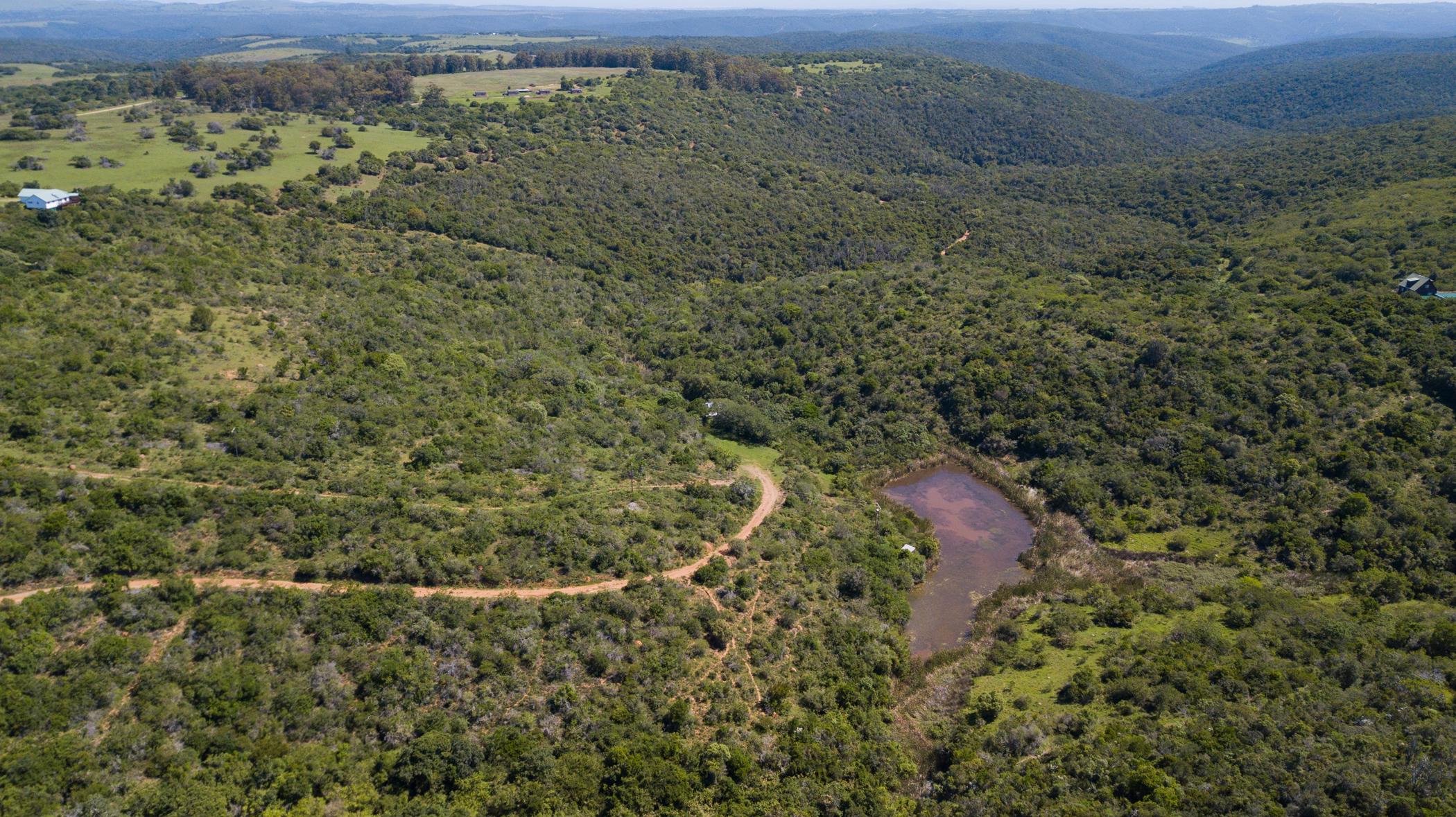 104746 m2 Vacant Land For Sale Bathurst 1PF1476753 Pam Golding