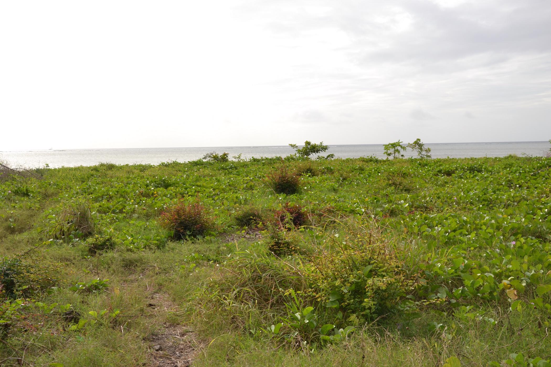 2276 m2 Vacant Land For Sale Pointe aux Sables (Mauritius
