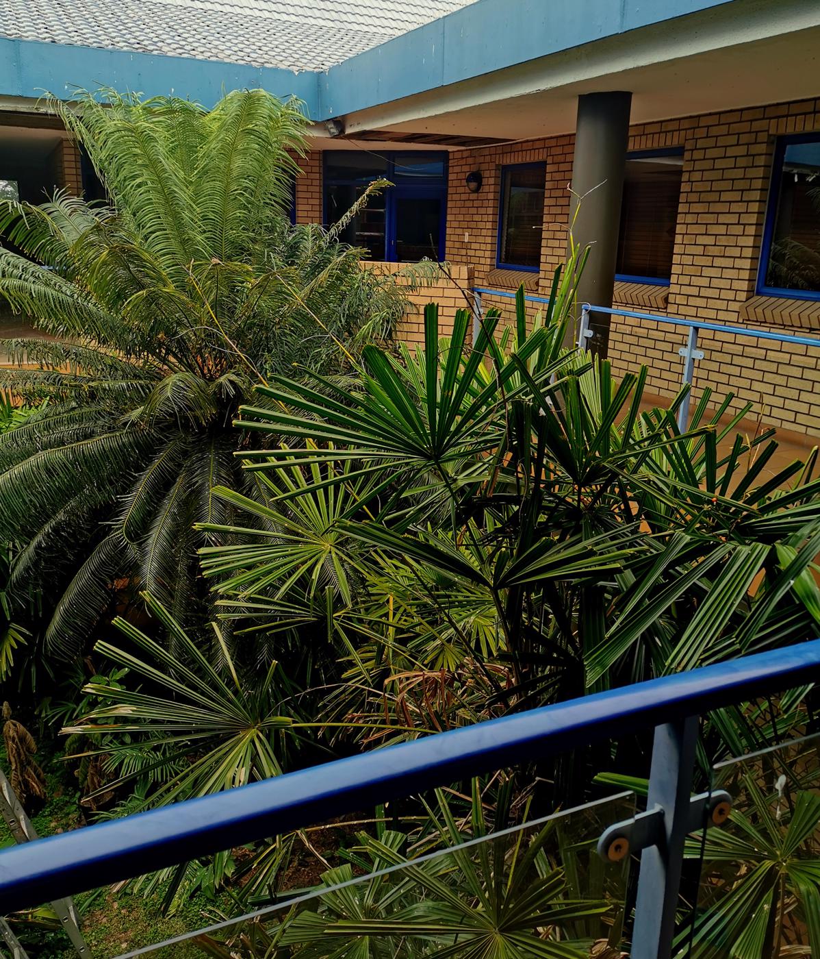 Commercial Business For Sale Richards Bay 1RY1479052 Pam Golding Properties