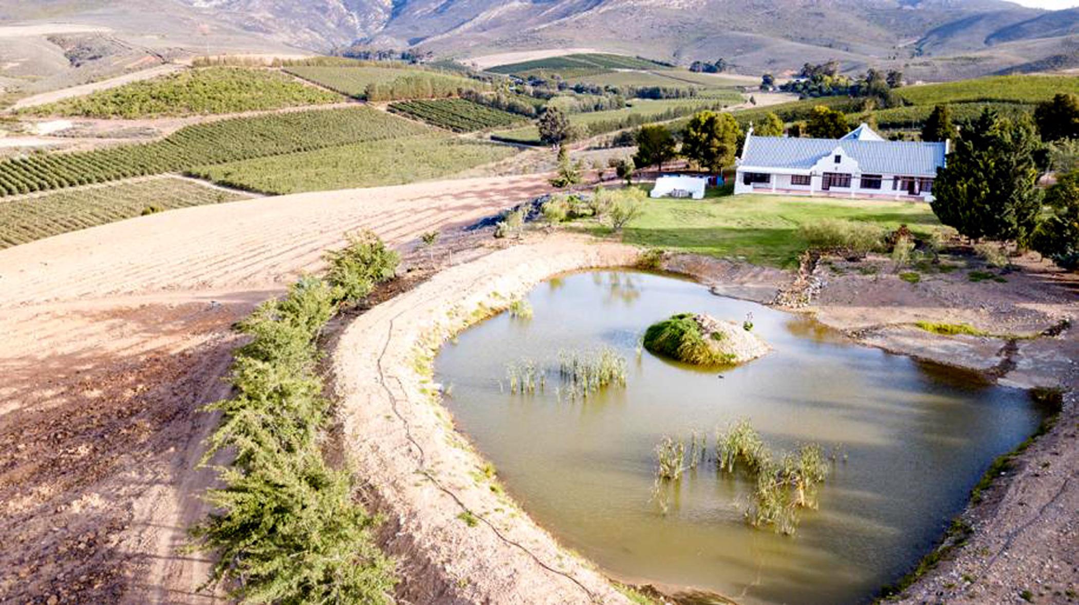 11 hectare Fruit Farm For Sale Villiersdorp 1SW1472153 Pam