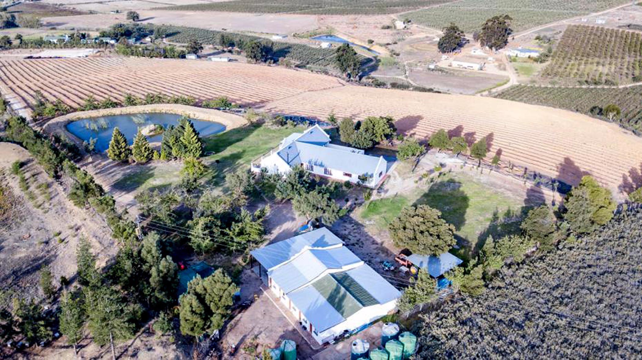 11 hectare Fruit Farm For Sale Villiersdorp 1SW1472153 Pam