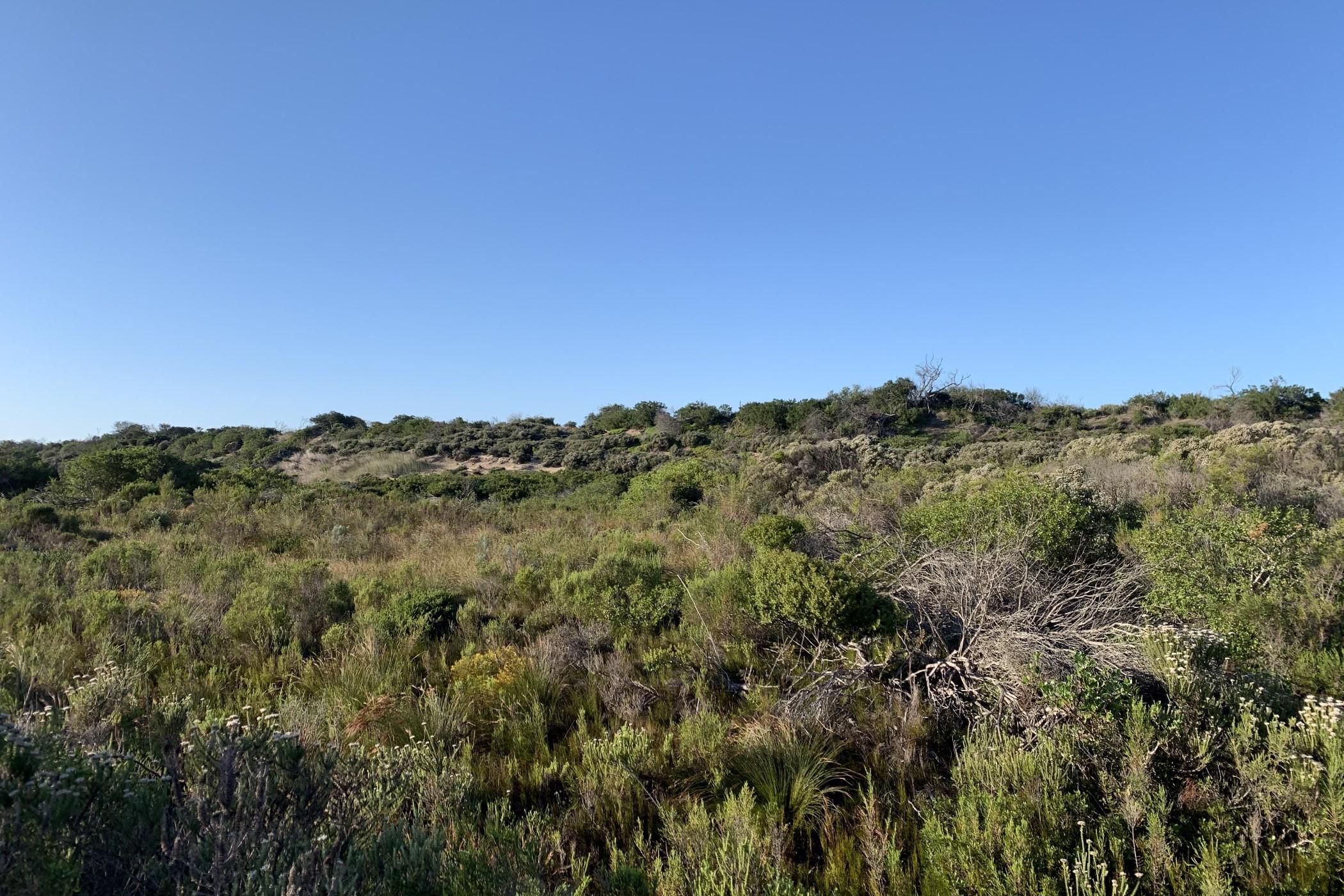 292 hectare Game Farm For Sale St Francis Bay Rural 1SA1483688