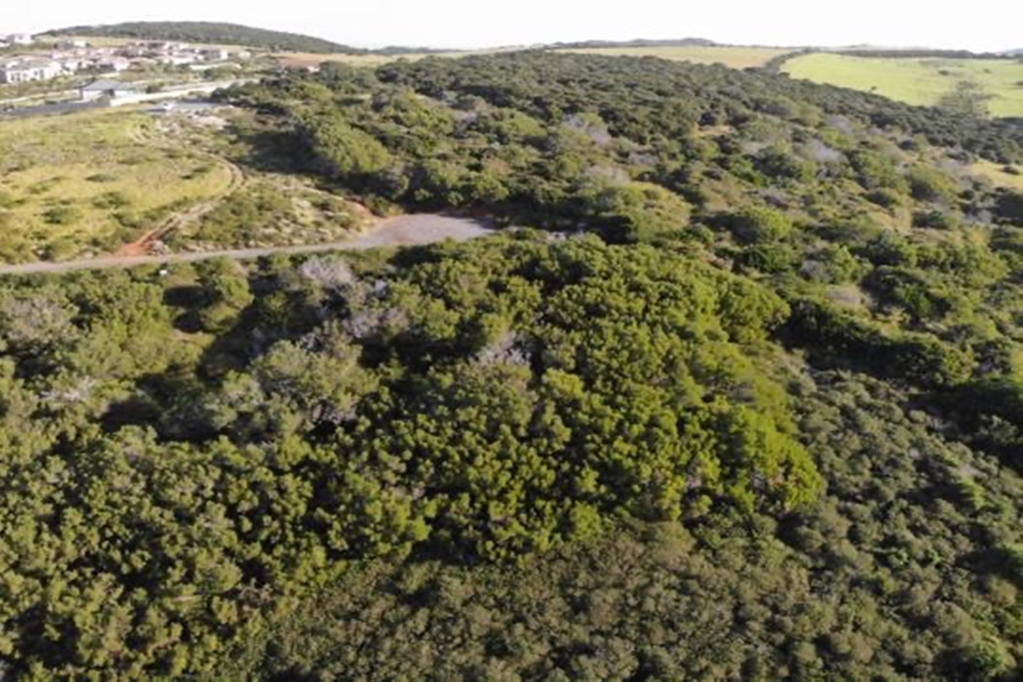 1422 m2 Vacant Land For Sale Port Alfred 1PF1484217 Pam Golding