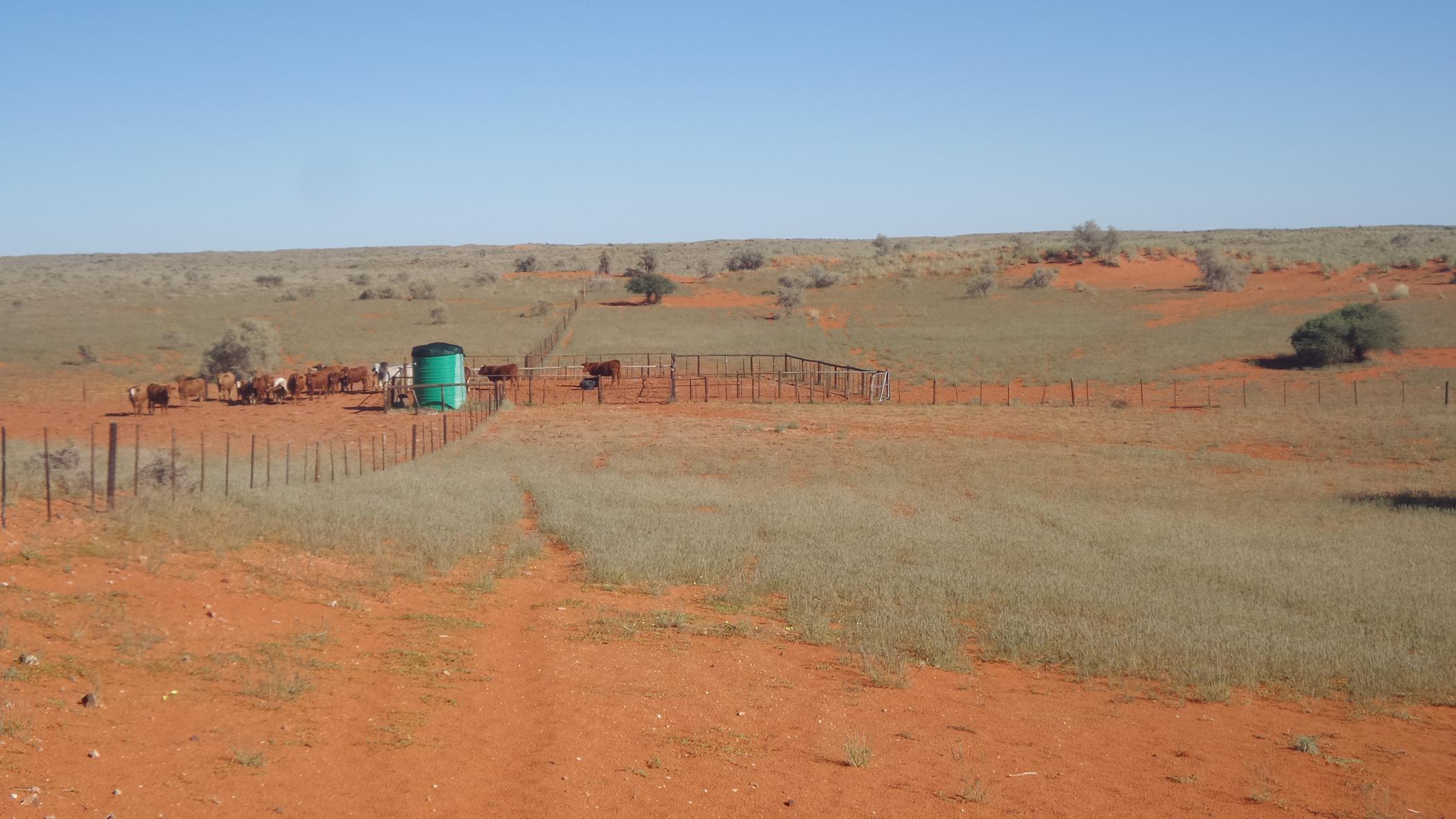8137 hectare Breeding Farm For Sale Van Zylsrus 1RN1485424 Pam