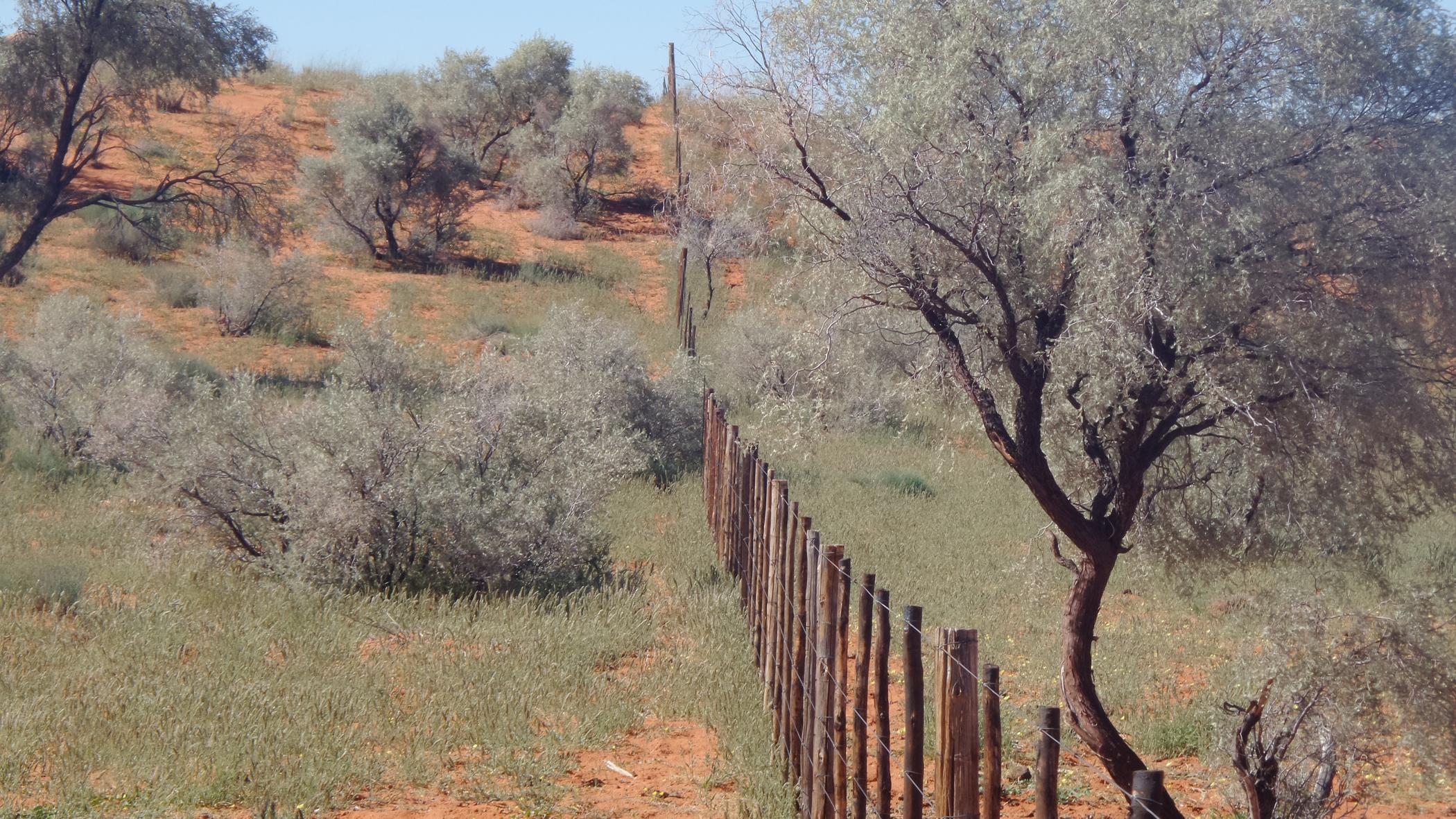 8137 hectare Breeding Farm For Sale Van Zylsrus 1RN1485424 Pam