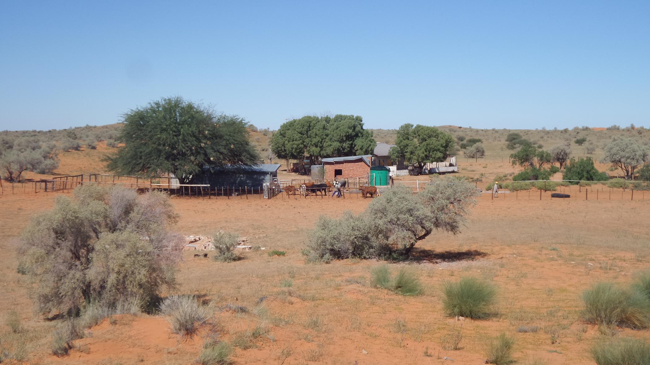 8137 hectare Breeding Farm For Sale Van Zylsrus 1RN1485424 Pam