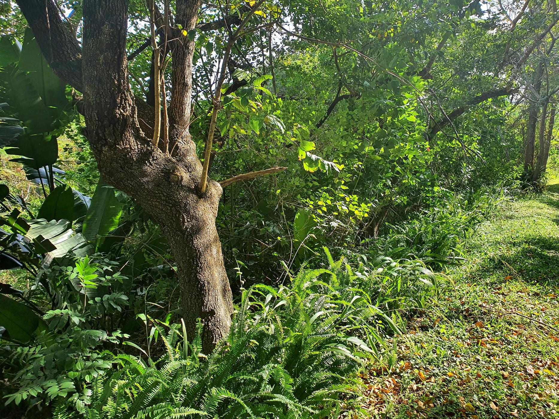 1391 m&sup2; residential vacant land for sale in Ramsgate