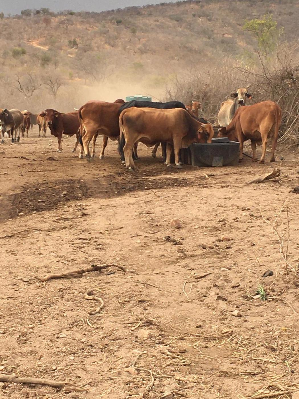 859.62 hectare mixed use farm for sale in Tzaneen Rural