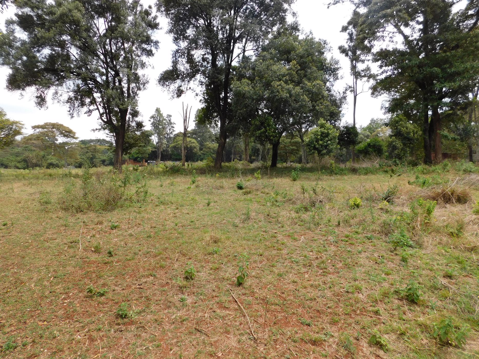 9 acres vacant land for sale in Karen (Kenya)