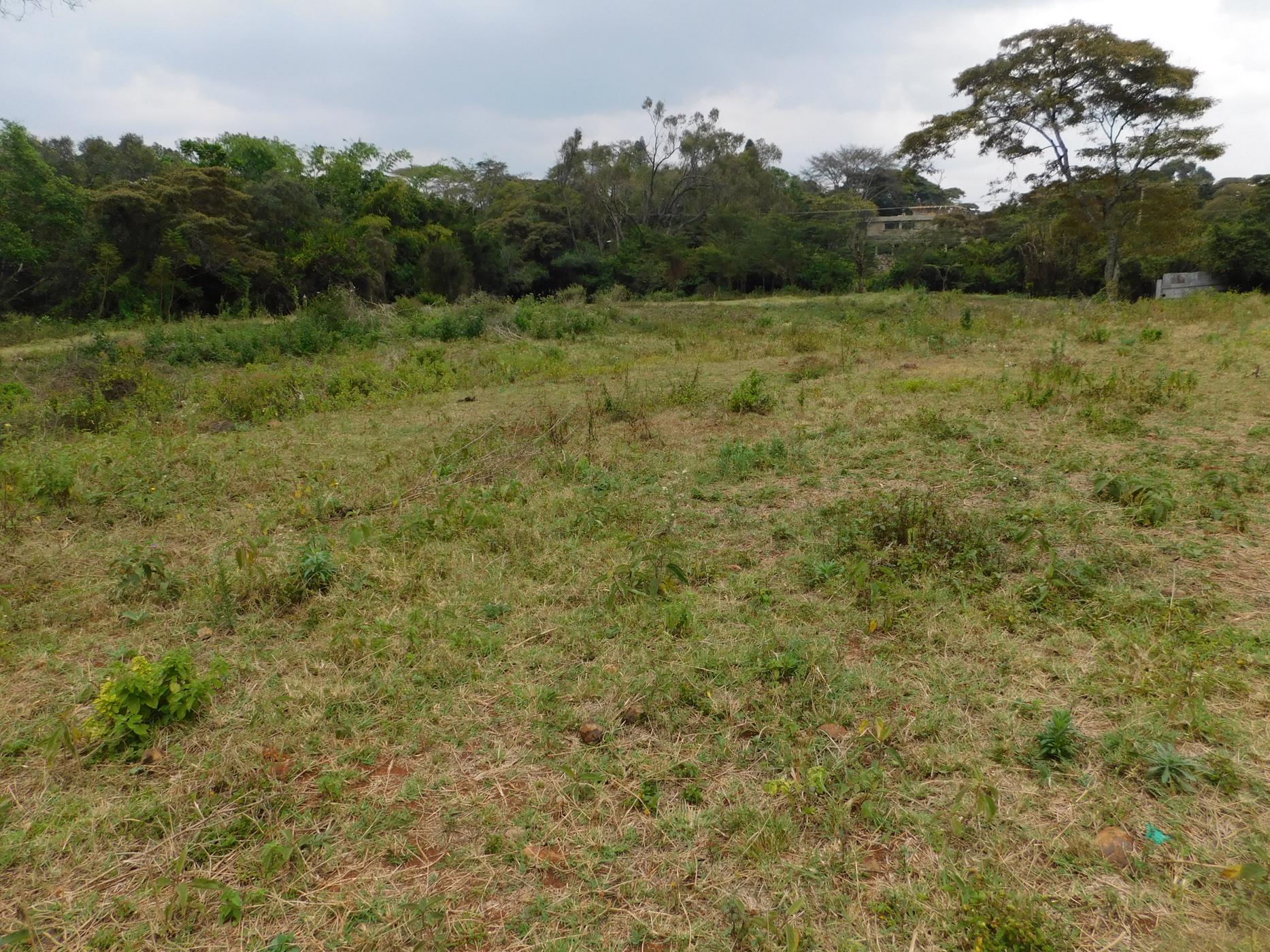 9 Acres Vacant Land For Sale Karen (Kenya) 3KE1496466 Pam Golding