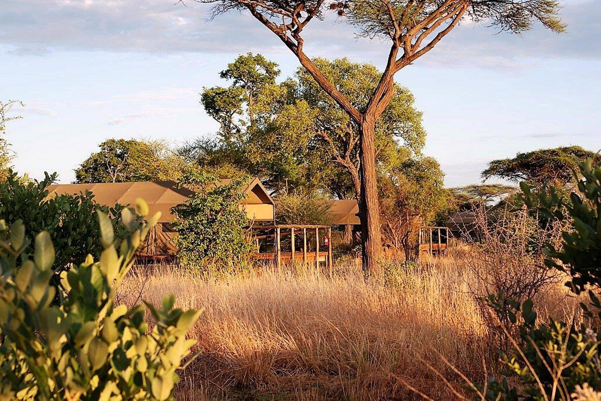 Game Lodge For Sale Chobe (Botswana) 3BO1496295 Pam Golding