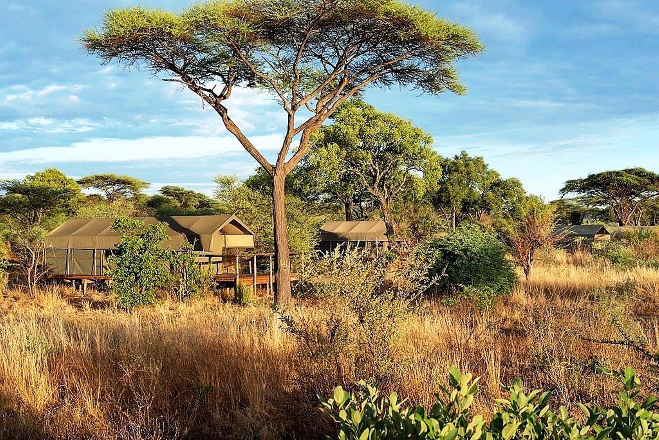 Game Lodge For Sale Chobe (Botswana) 3BO1496295 Pam Golding