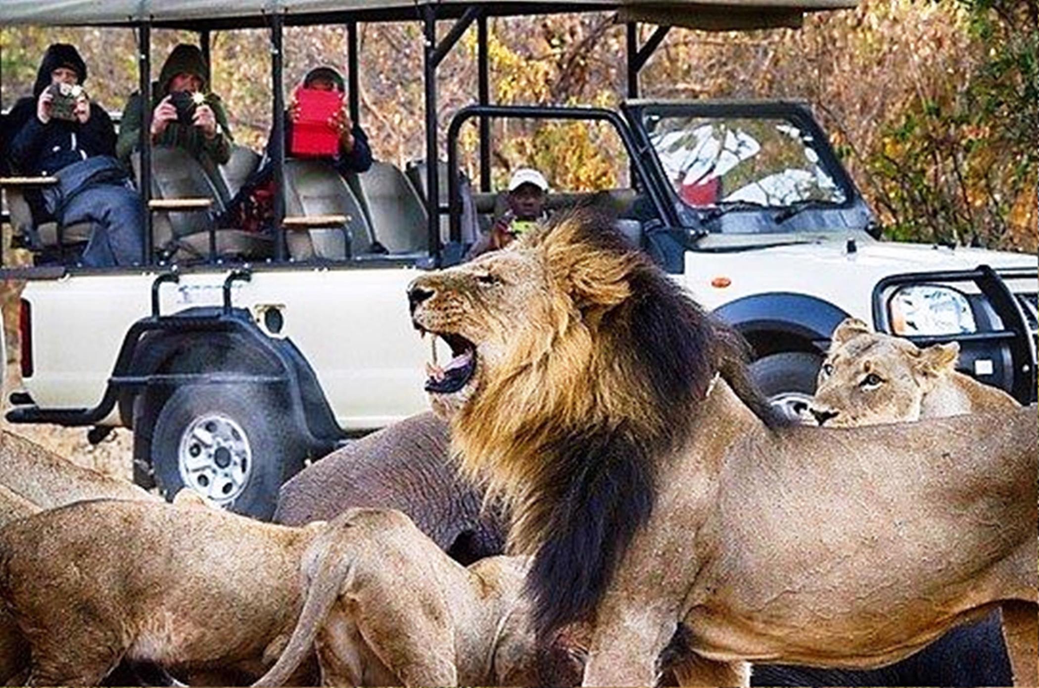 Game Lodge For Sale Chobe (Botswana) 3BO1496295 Pam Golding