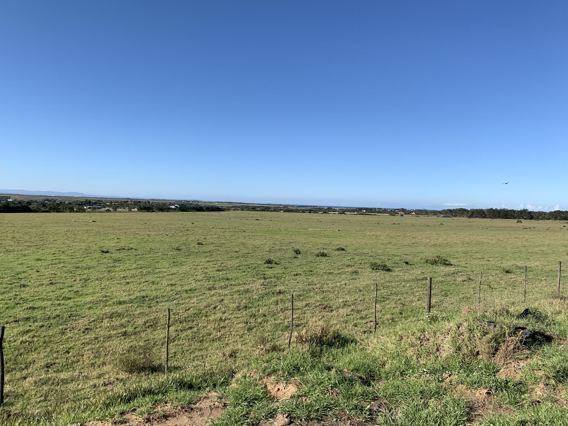 23 hectare Smallholding For Sale St Francis Bay Rural 1SA1500238