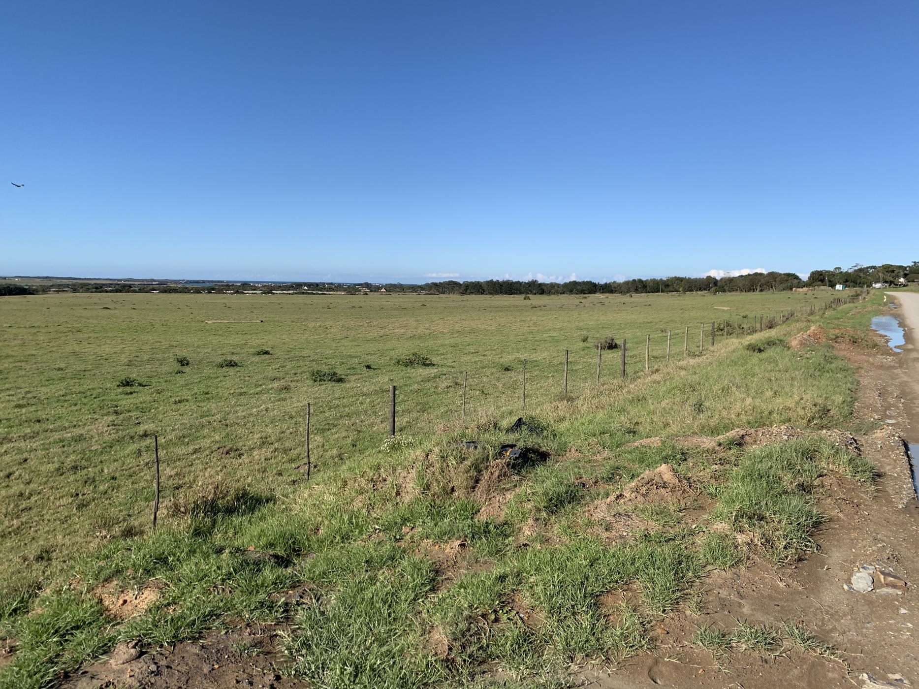 23 hectare smallholding for sale in St Francis Bay Rural