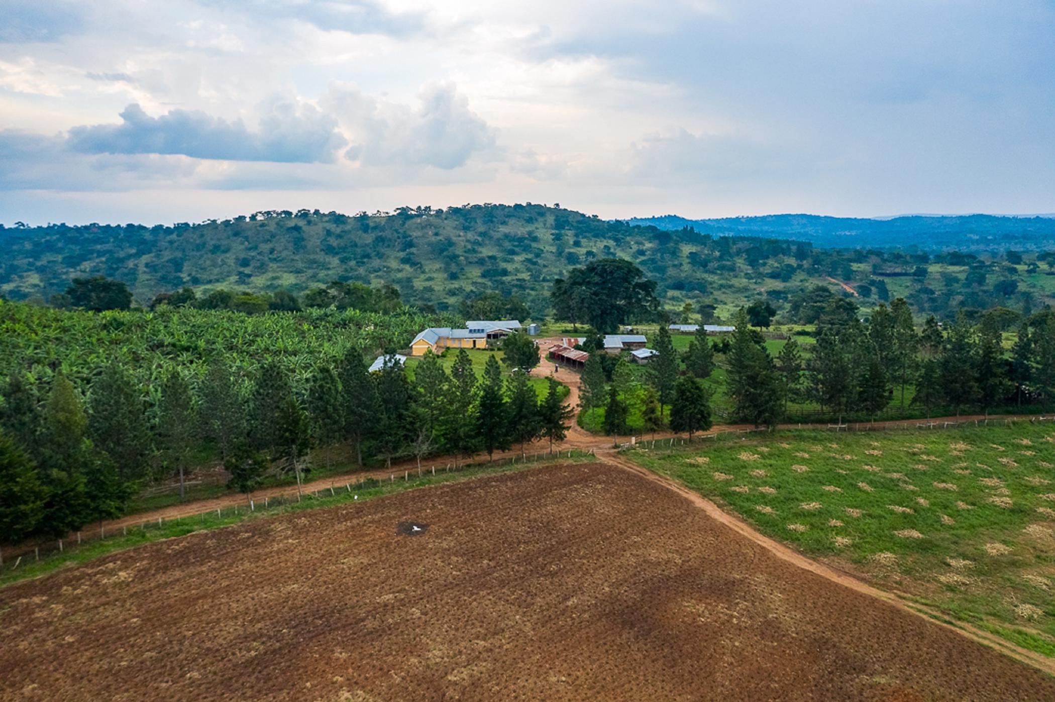 2214 Acres Mixed Use Farm For Sale Kampala (Uganda) 3UG1497347
