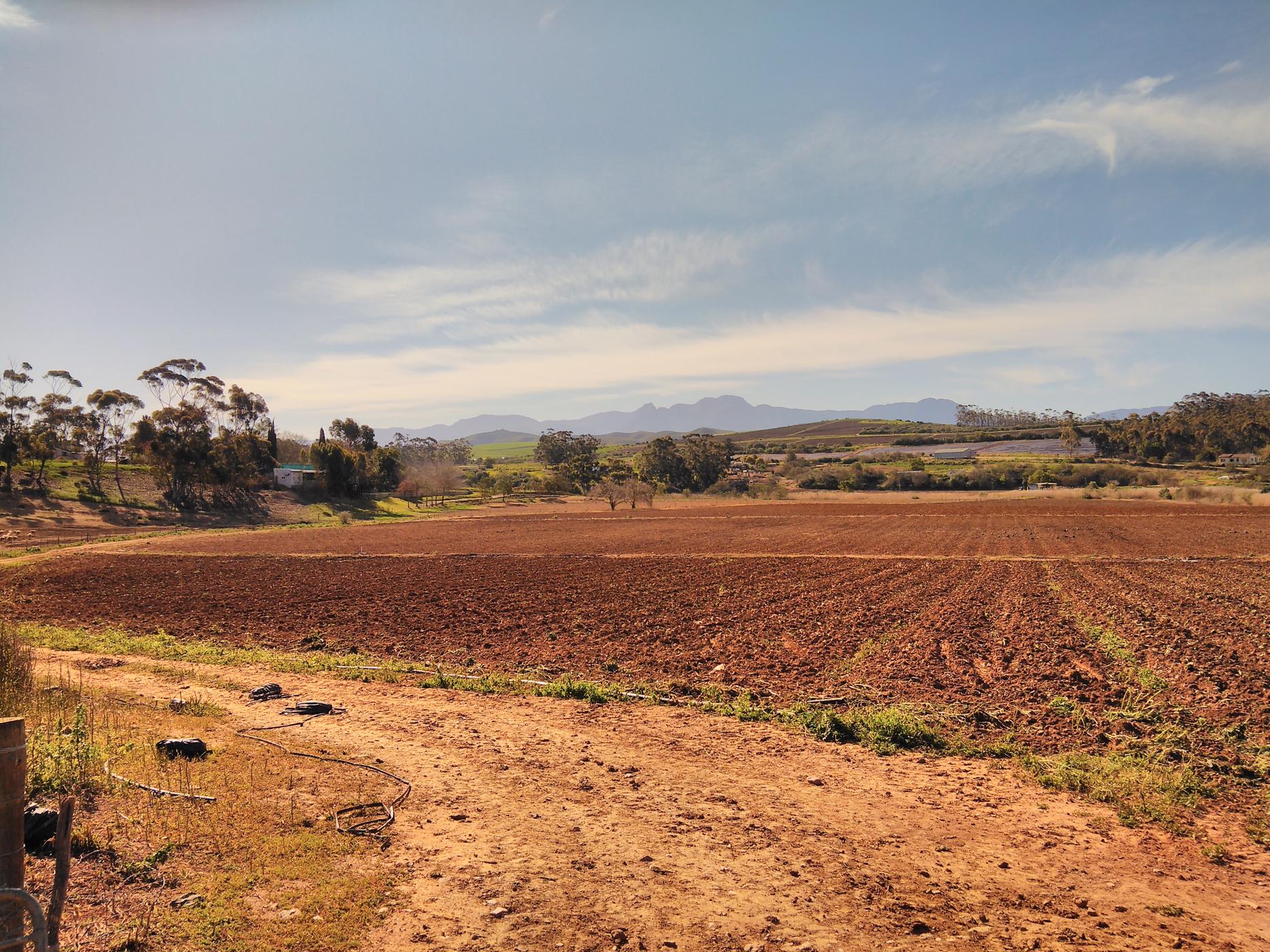 14.5 hectare Vacant Land For Sale Heidelberg (Garden Route