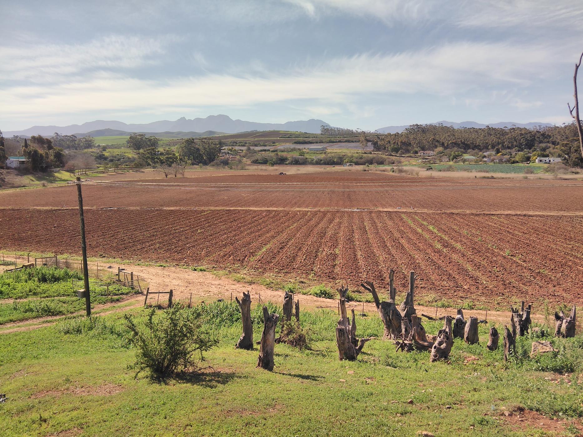 14.5 hectare Vacant Land For Sale Heidelberg (Garden Route