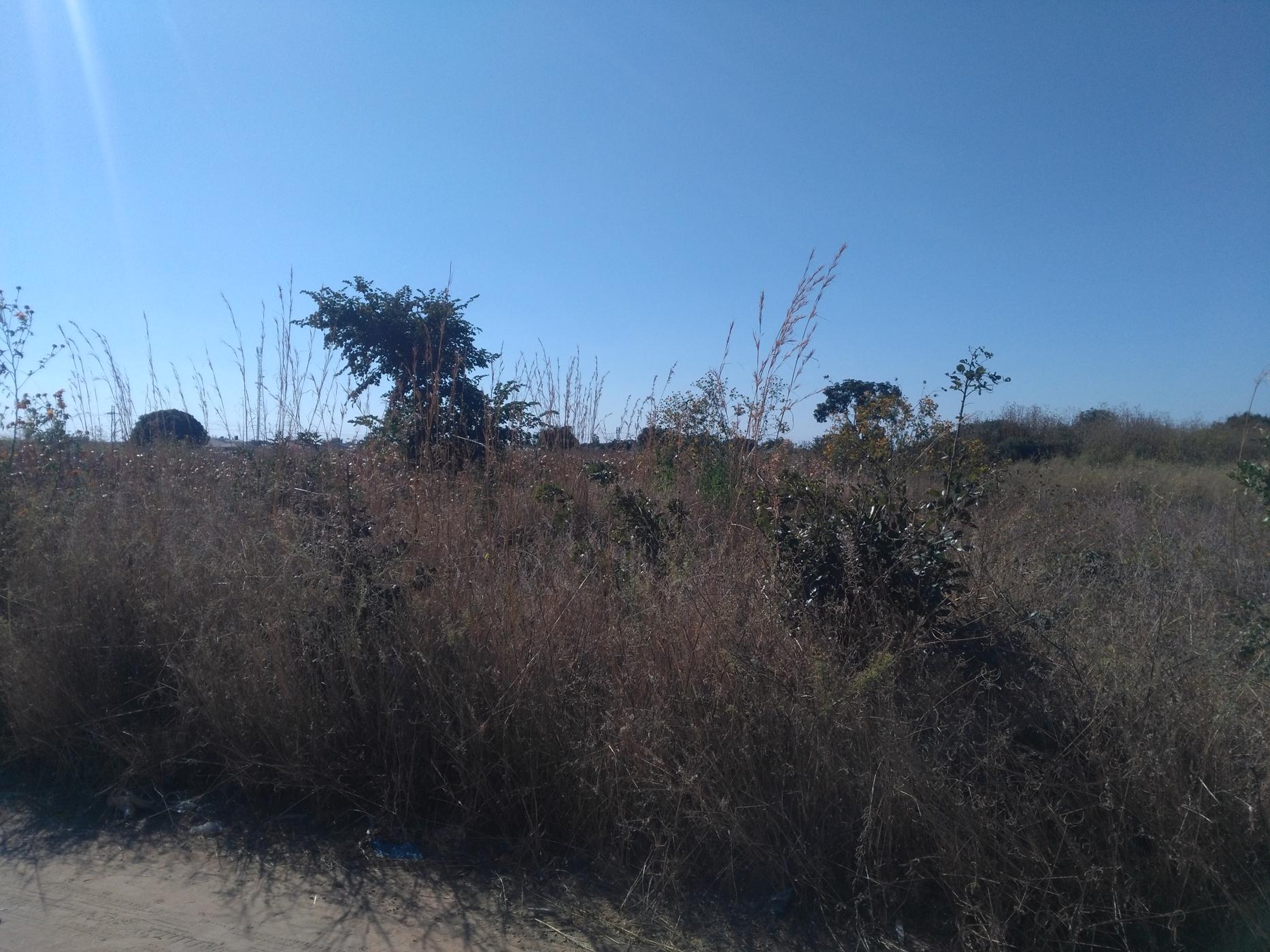 120 hectare Farm Vacant Land For Sale Choma (Zambia) 3ZA1584622
