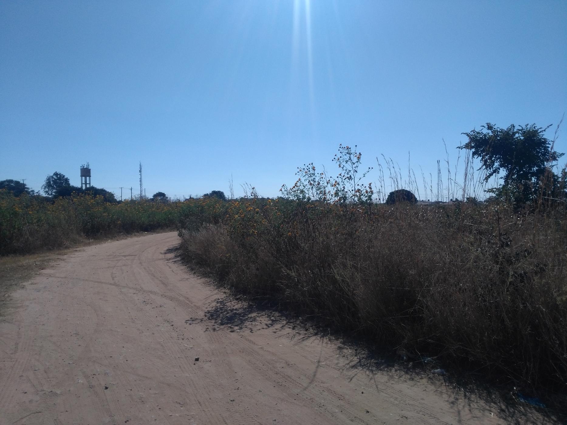 120 hectare Farm Vacant Land For Sale Choma (Zambia) 3ZA1584622