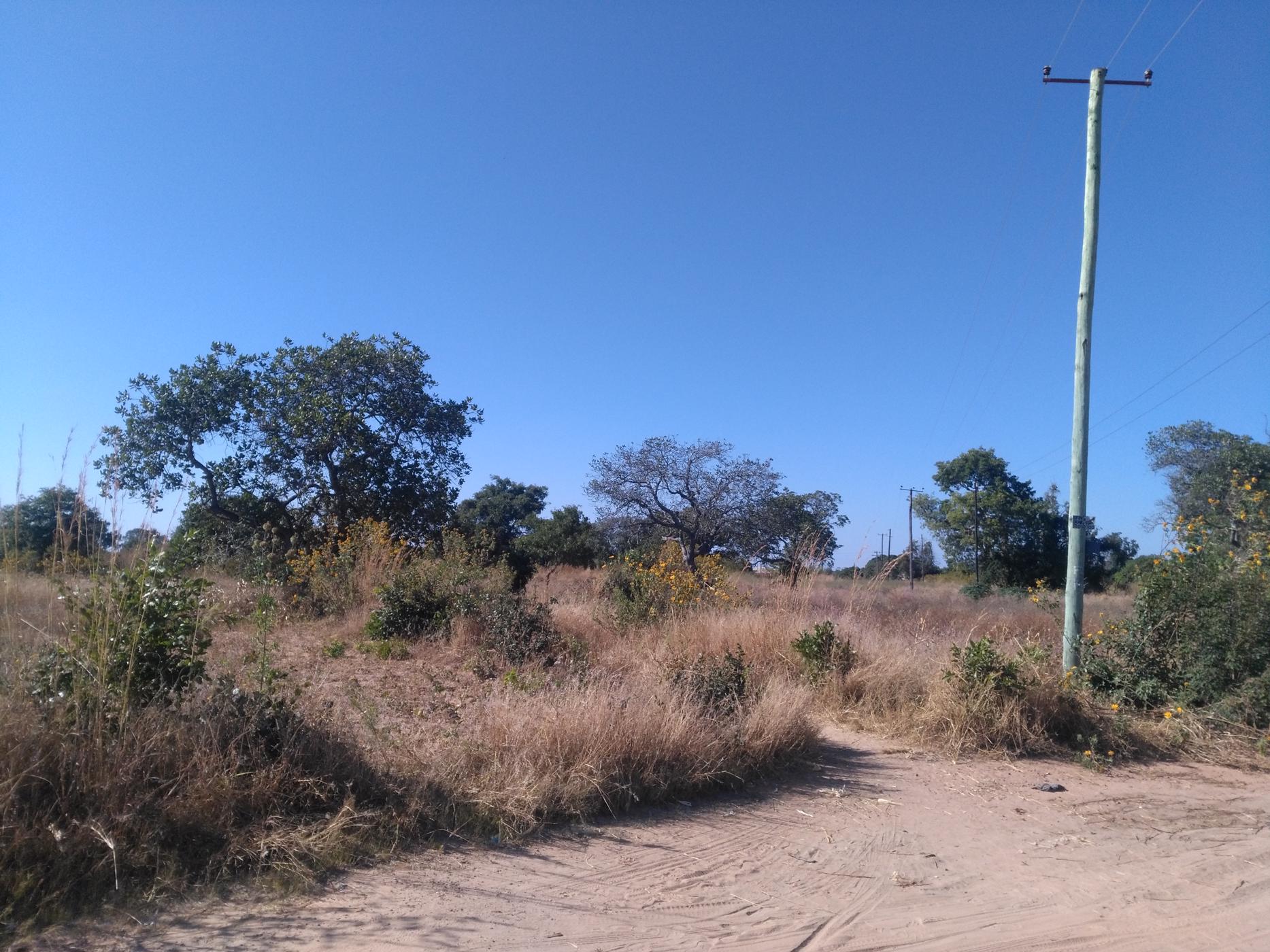 120 hectare Farm Vacant Land For Sale Choma (Zambia) 3ZA1584622