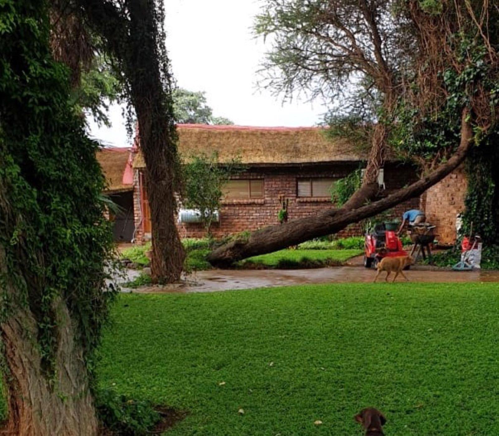 9.8 hectare Smallholding For Sale Hartswater (Northern Cape