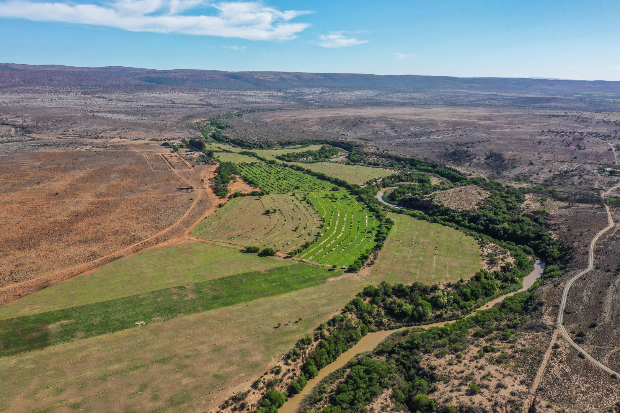 1413 hectare Livestock Farm For Sale Makhanda (Grahamstown