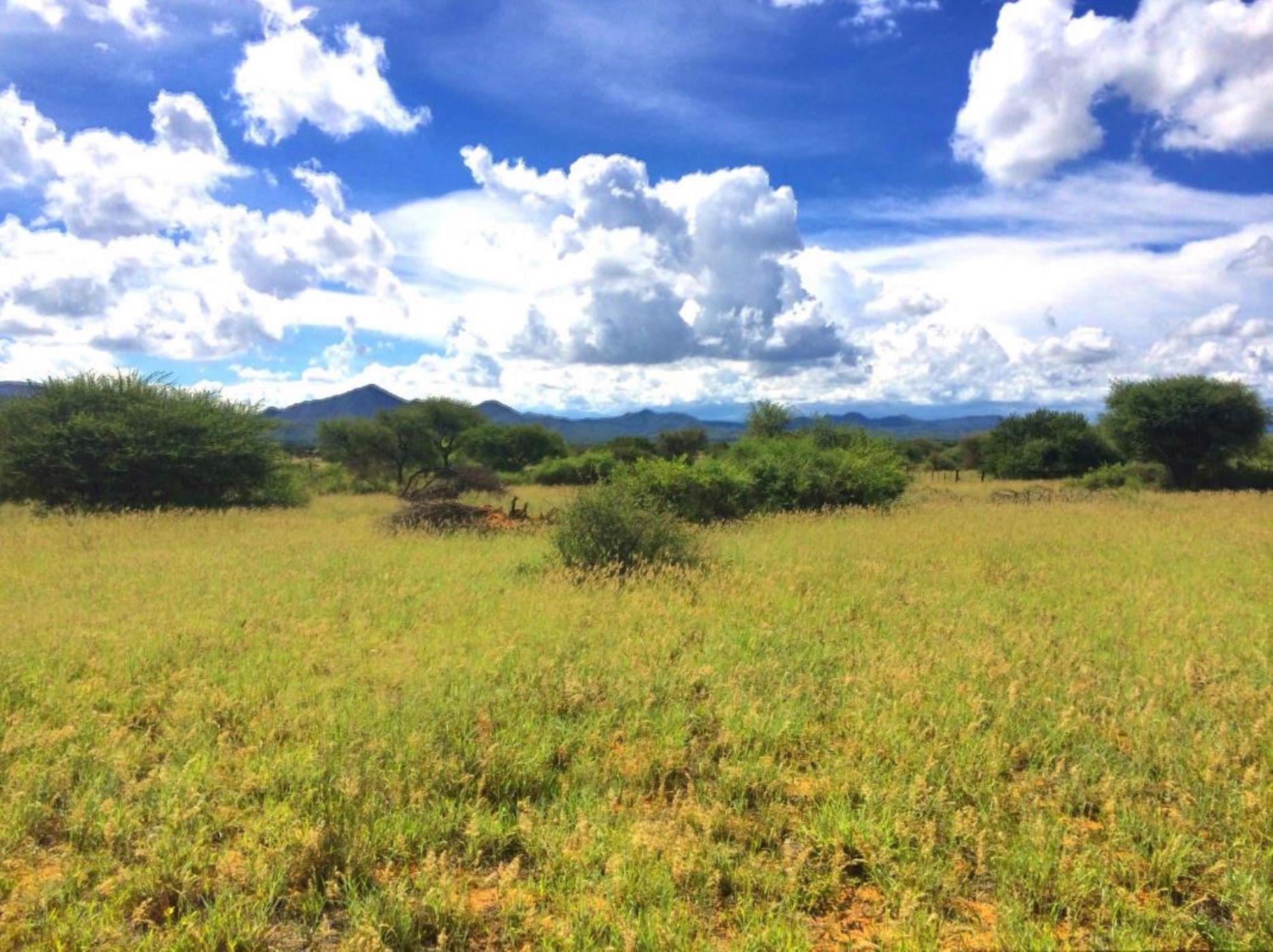 20 hectare Residential Vacant Land For Sale Windhoek (Namibia