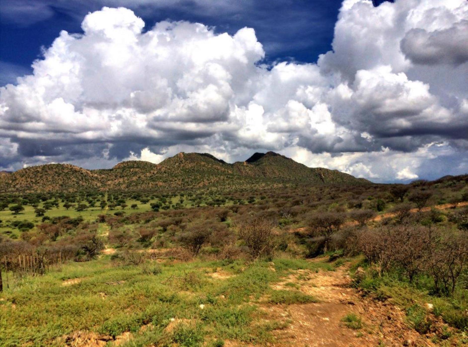 20 hectare Residential Vacant Land For Sale Windhoek (Namibia