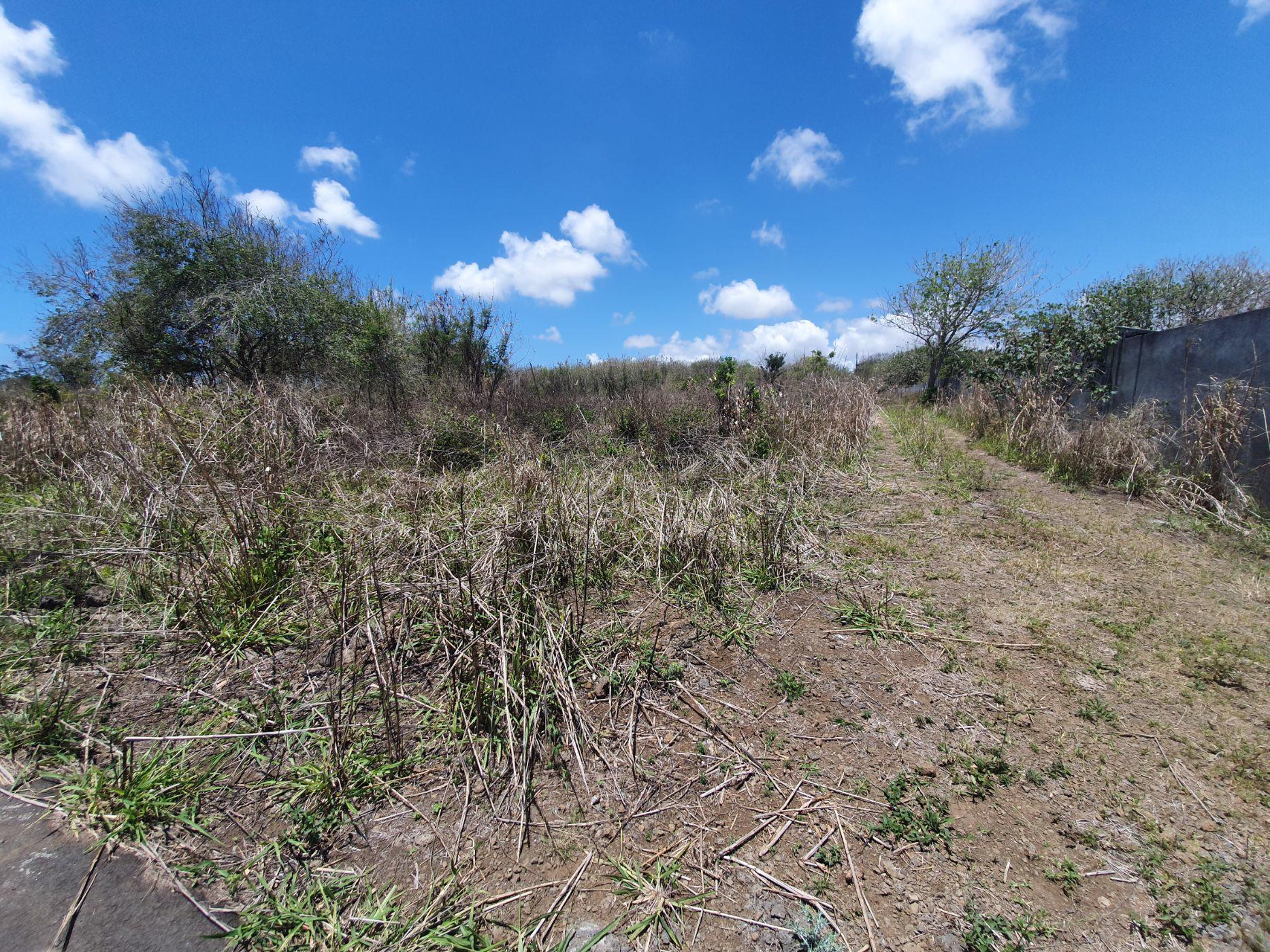 5389 m2 Residential Vacant Land For Sale Pereybere (Mauritius