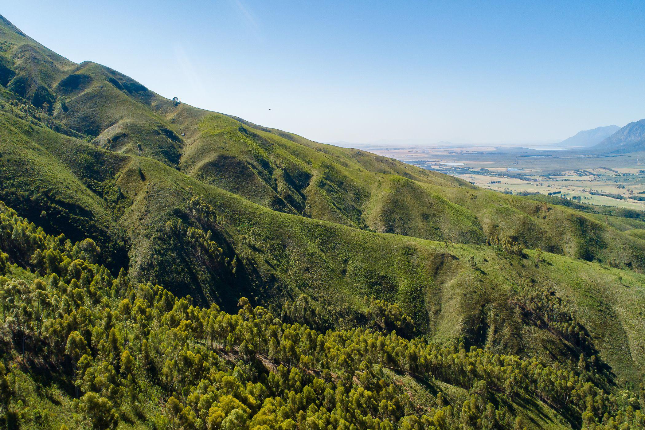 148.61 hectare Farm Vacant Land For Sale Wellington TK1507975 Pam