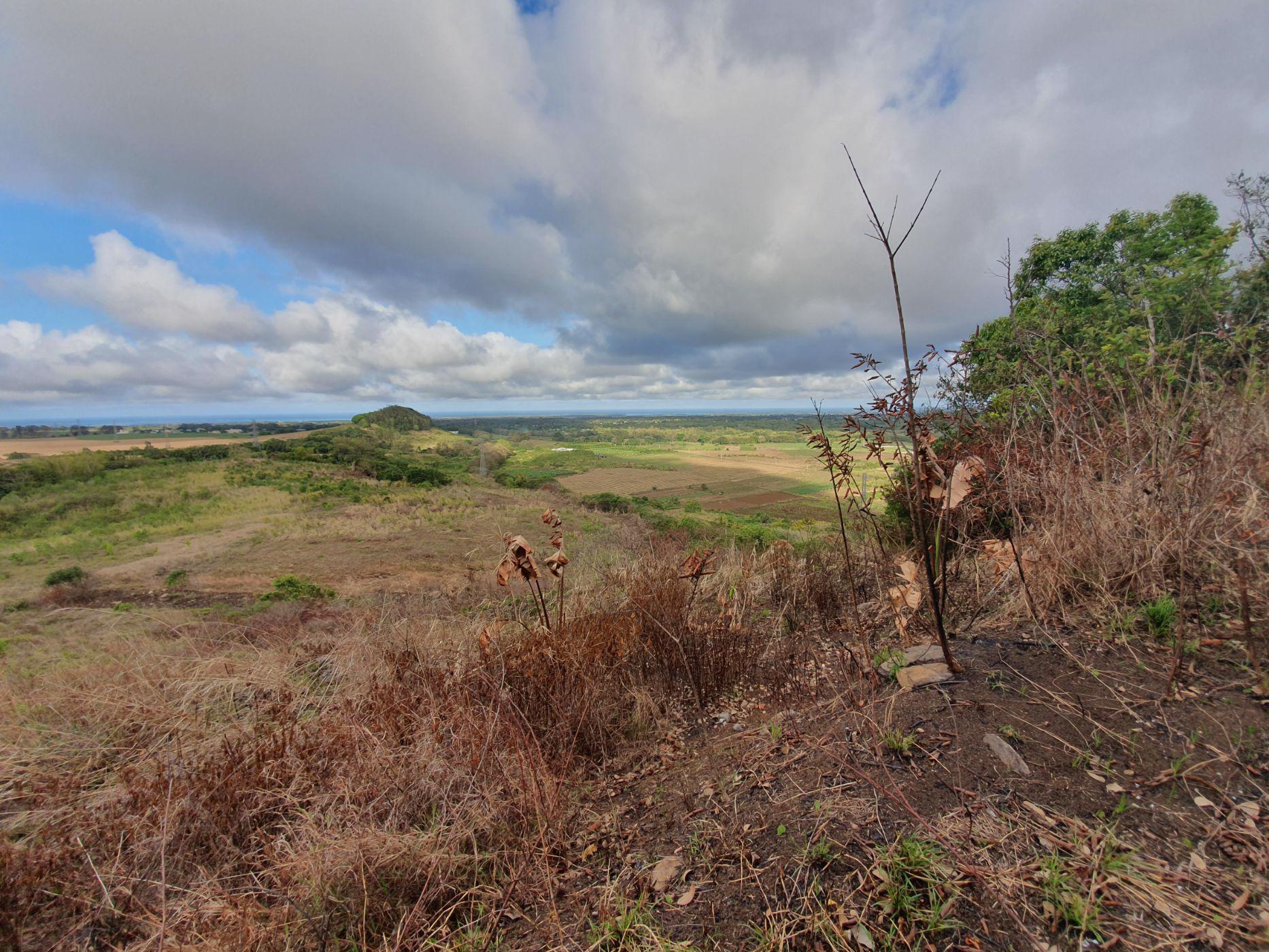 149838 m&sup2; farm vacant land for sale in Pamplemousses (Mauritius)