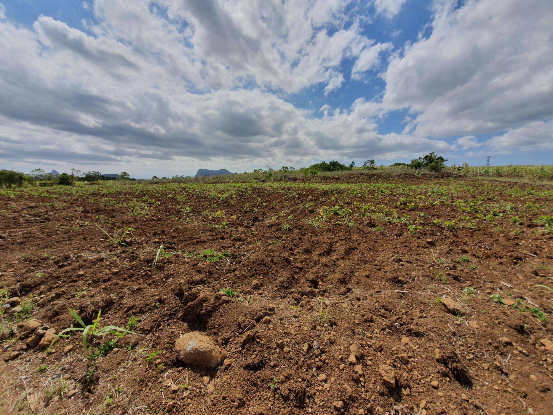8441 m2 Commercial Vacant Land For Sale Phoenix (Mauritius