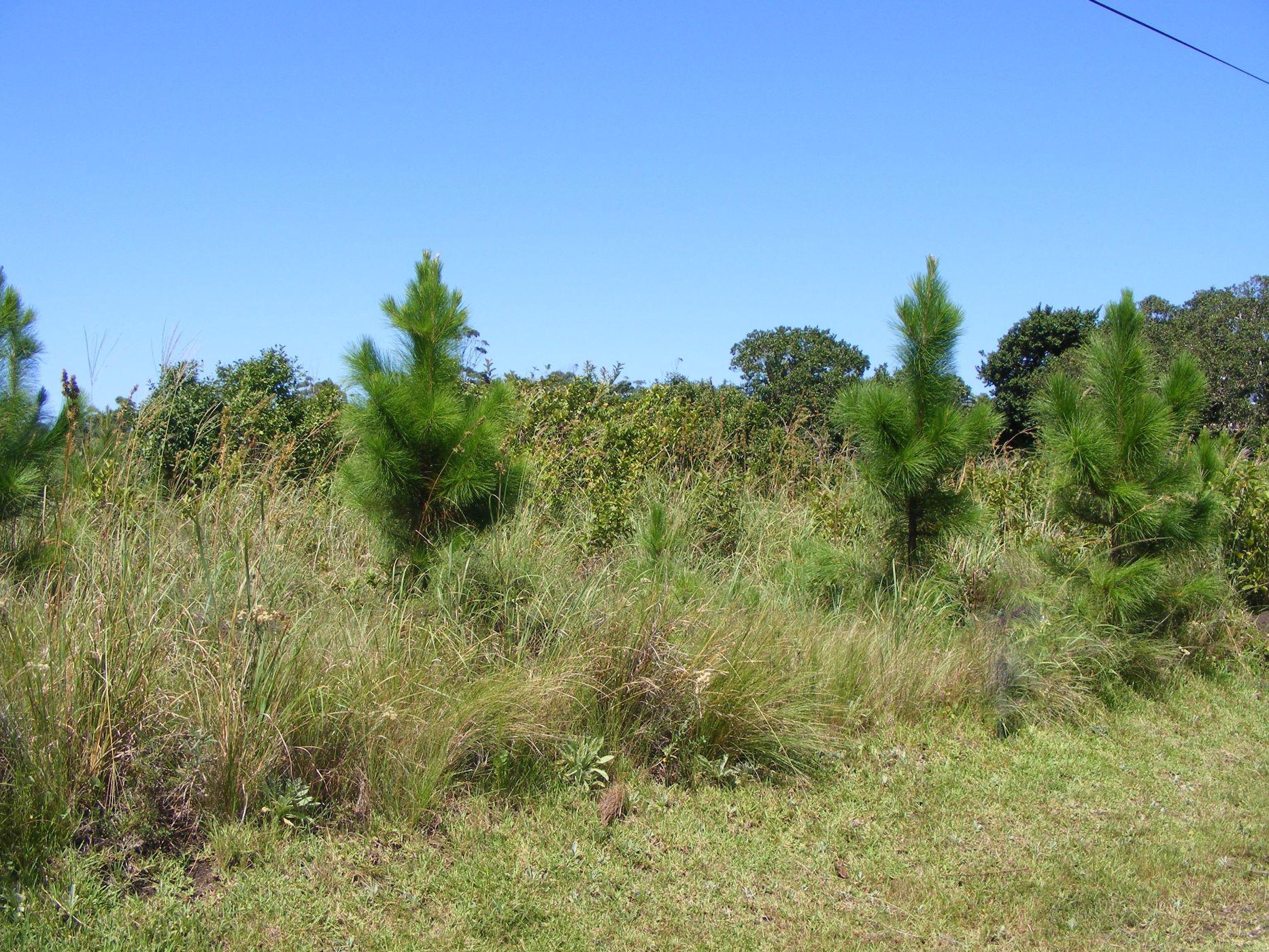 1012 m2 Residential Vacant Land For Sale Leisure Bay 1PD1424079