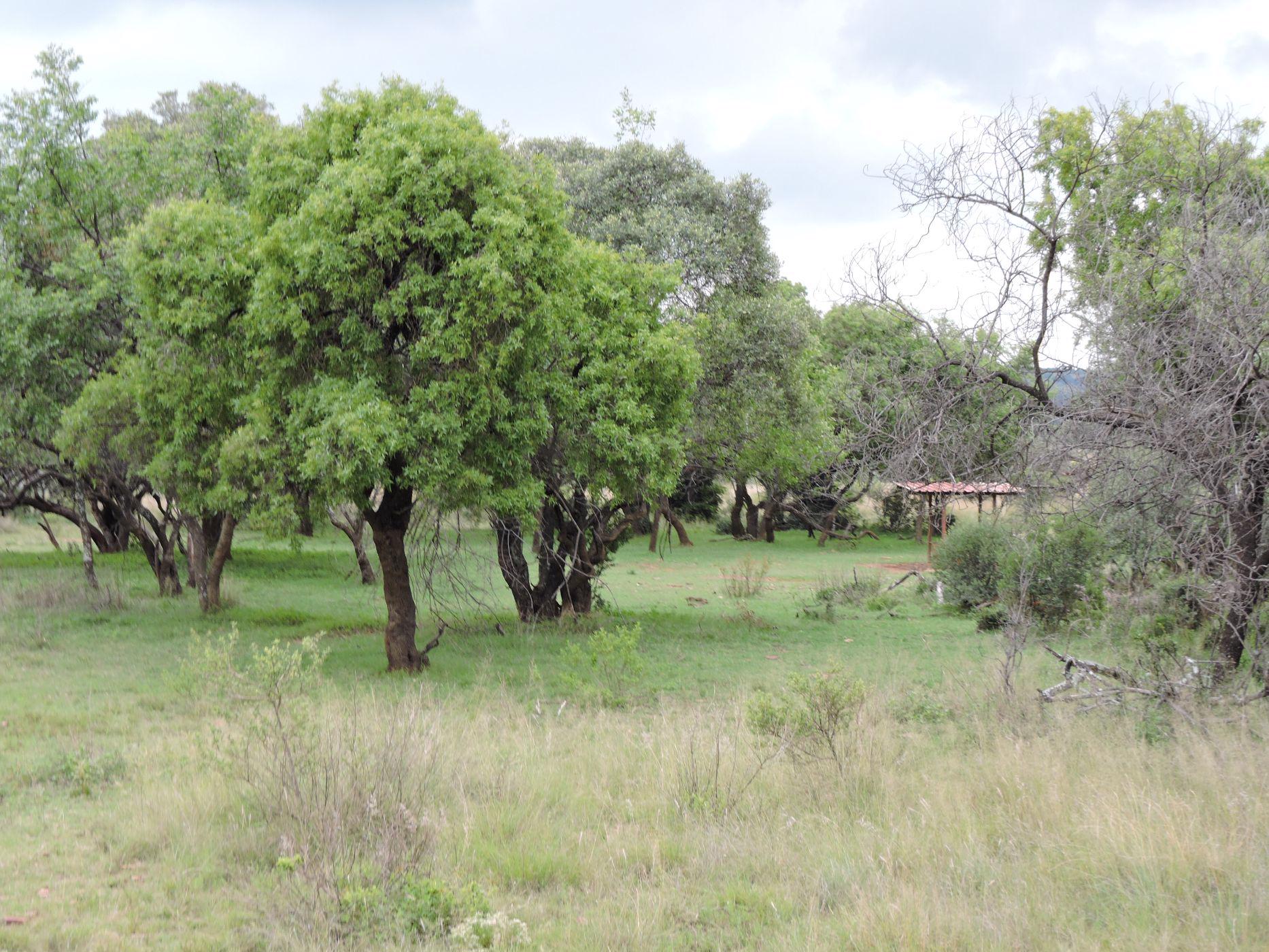 982.08 hectare farm vacant land for sale in Groot Marico