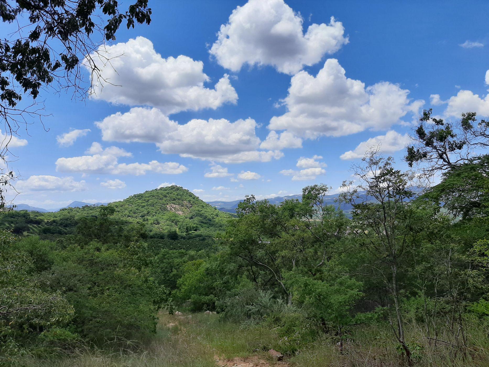 4.13 hectare smallholding for sale in Nelspruit (Mbombela)